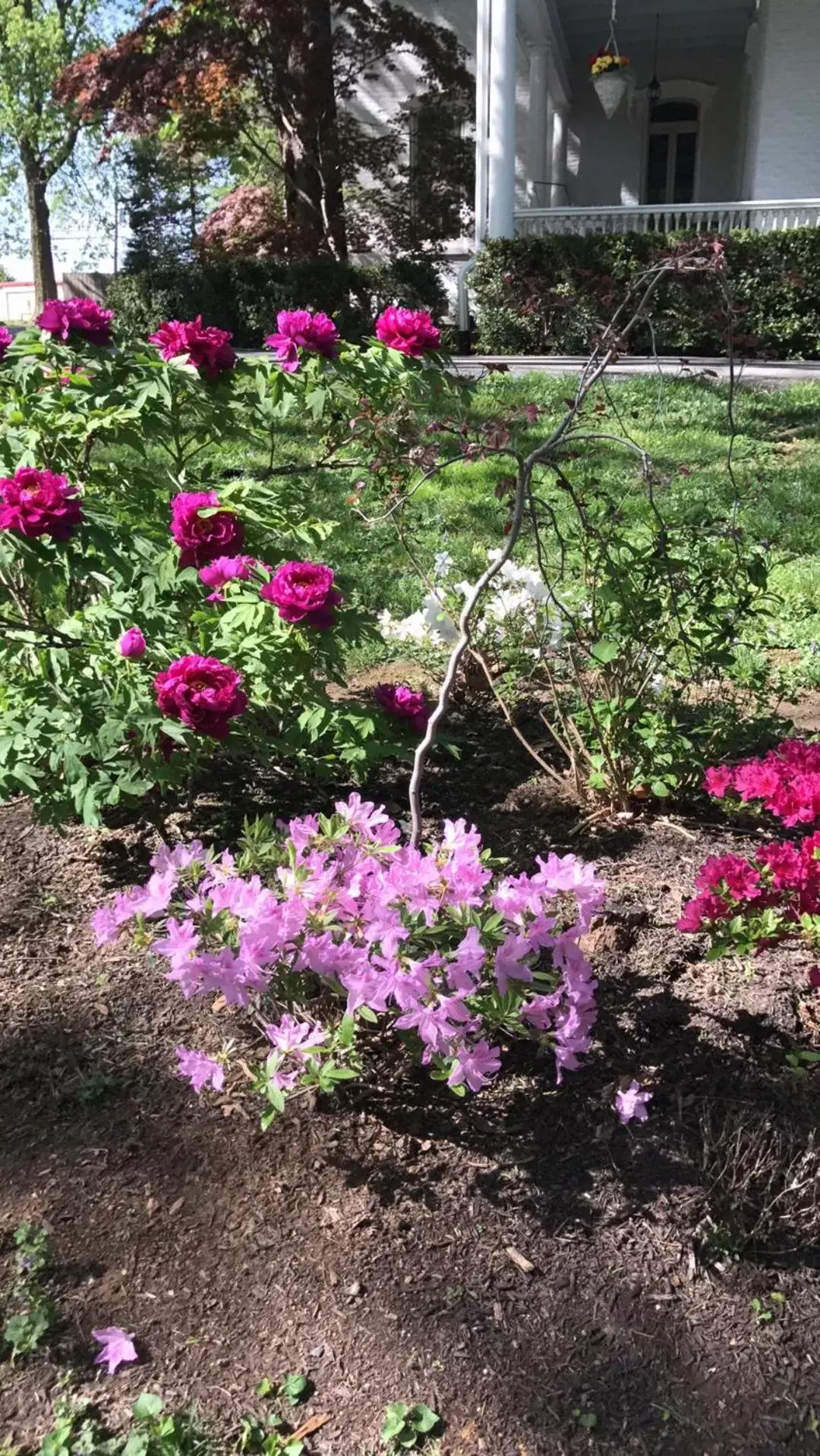 Susquehanna Manor Inn Susquehanna Manor Inn