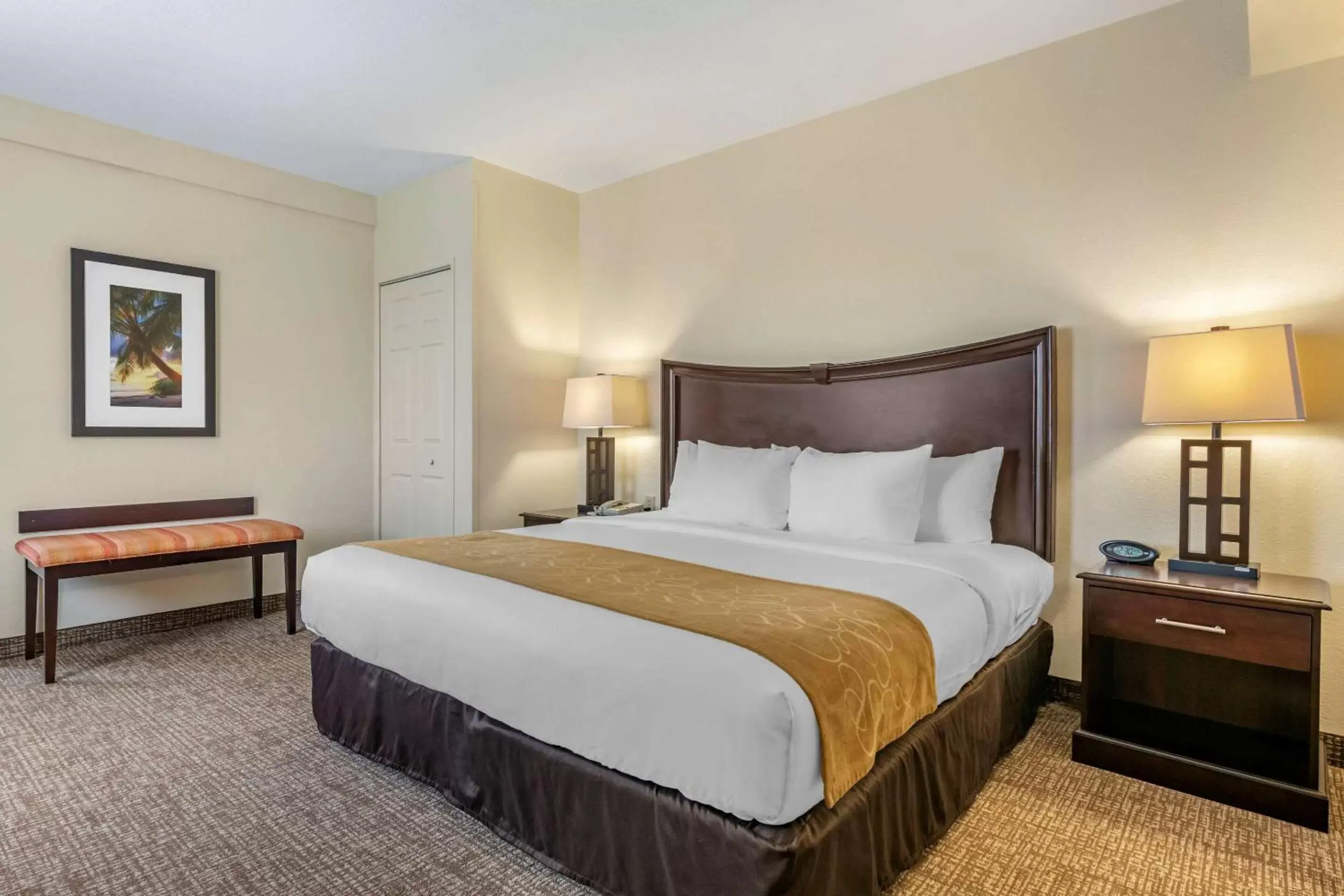 One-Bedroom King Suite with Two Bathrooms - Accessible in Comfort Suites Maingate East One-Bedroom King Suite with Two Bathrooms - Accessible in Comfort Suites Maingate East