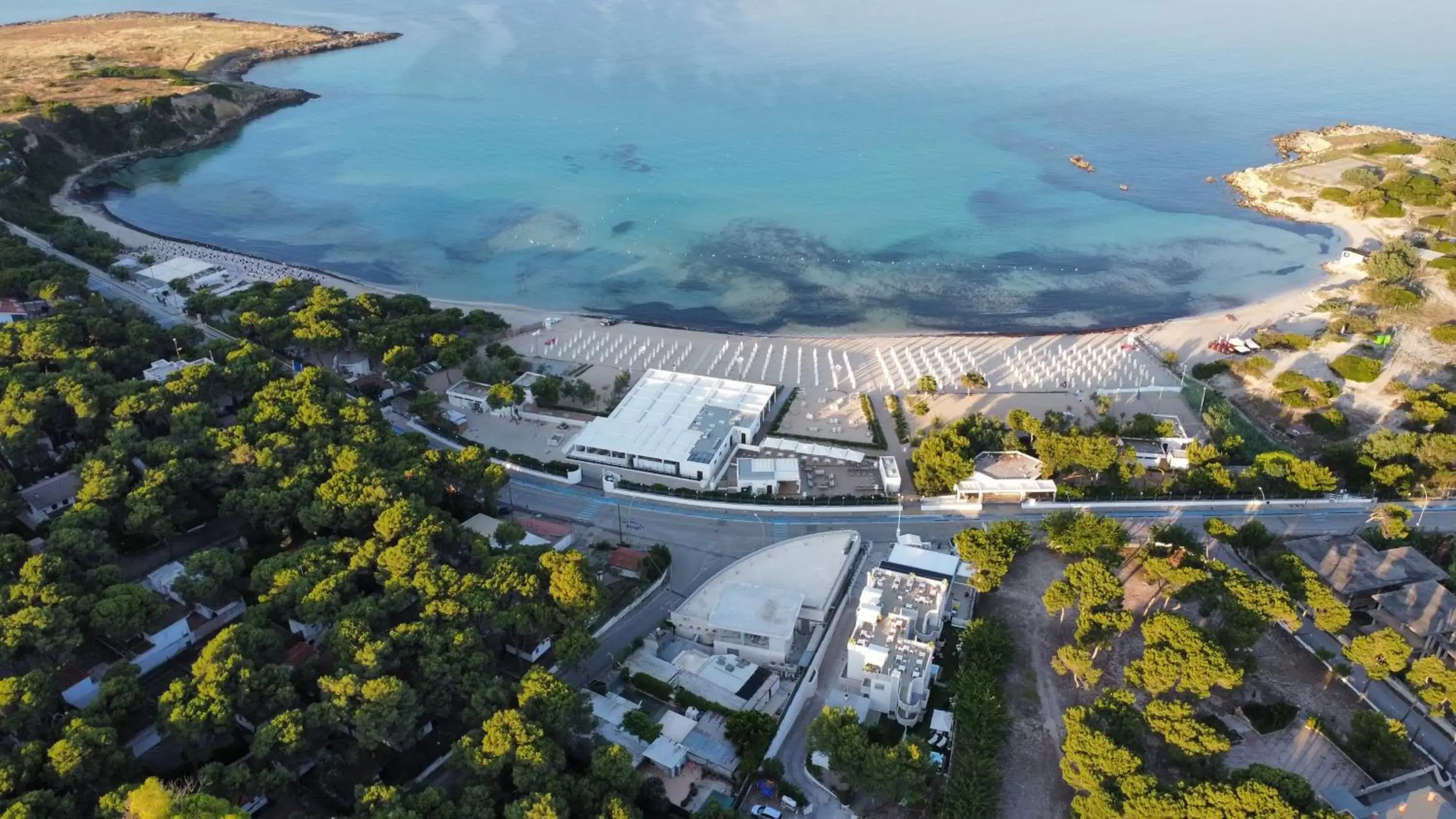 The Garden The Garden