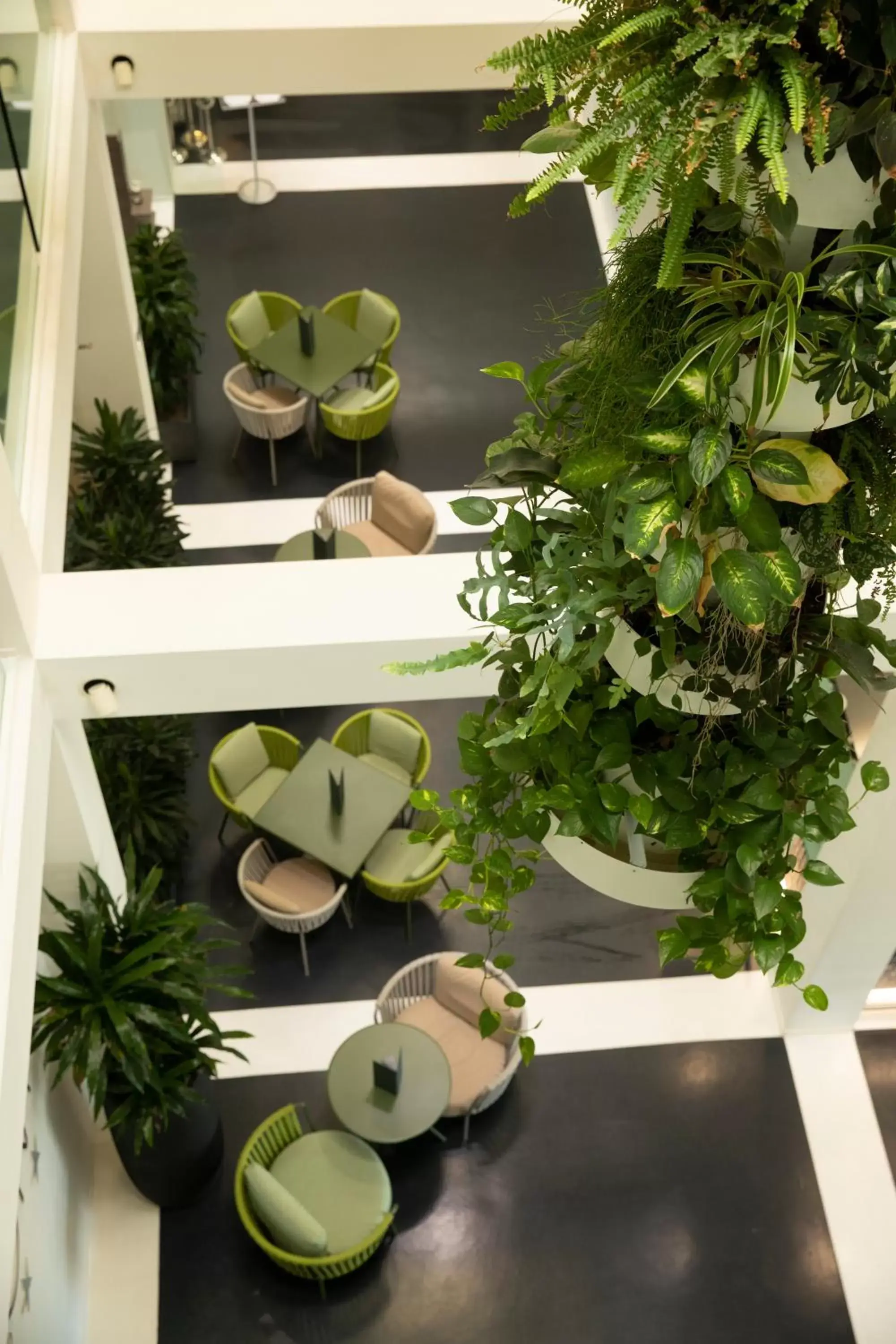 MO.OM Hotel MO.OM Hotel