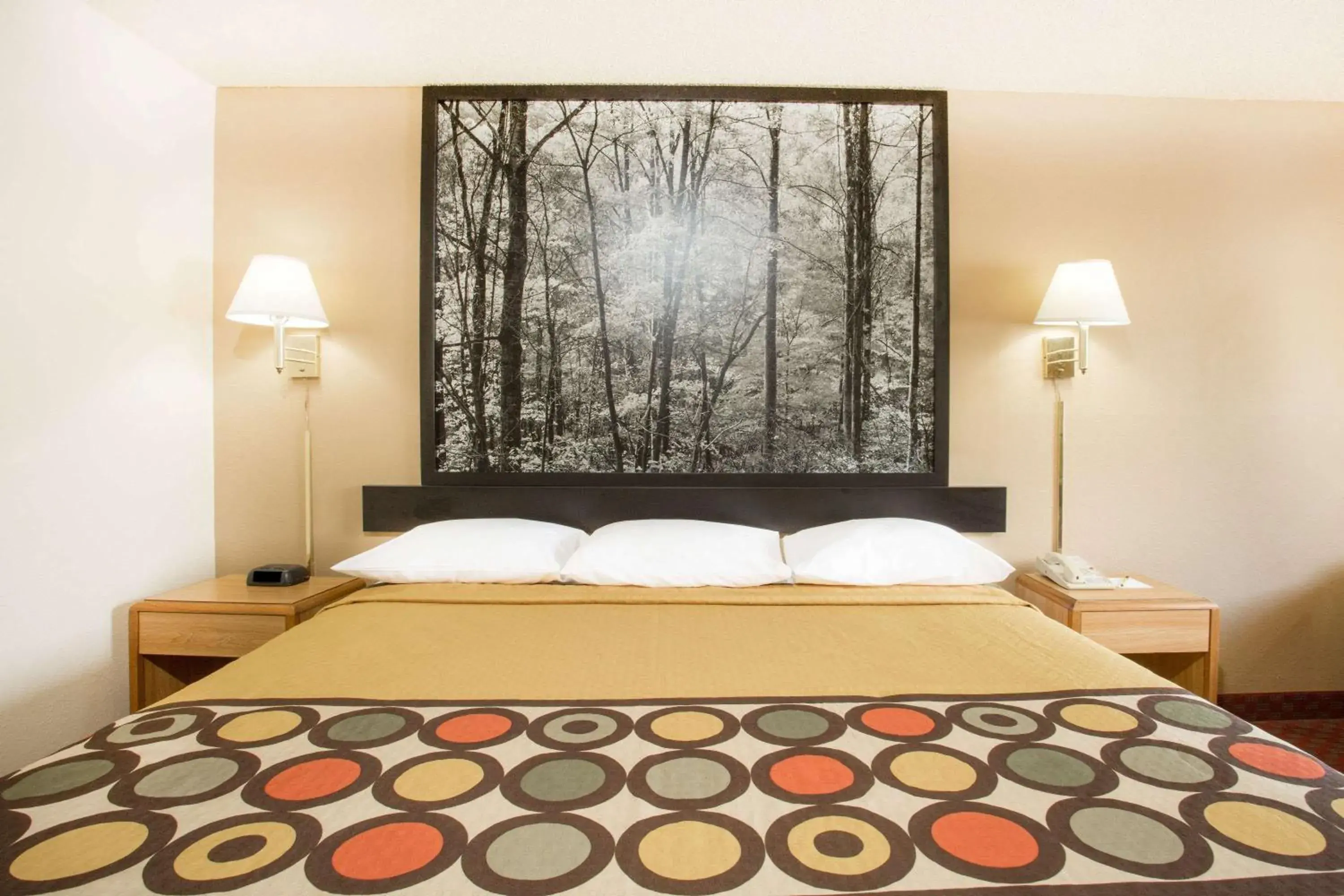 King Room - Non-Smoking in Super 8 by Wyndham Lexington VA King Room - Non-Smoking in Super 8 by Wyndham Lexington VA