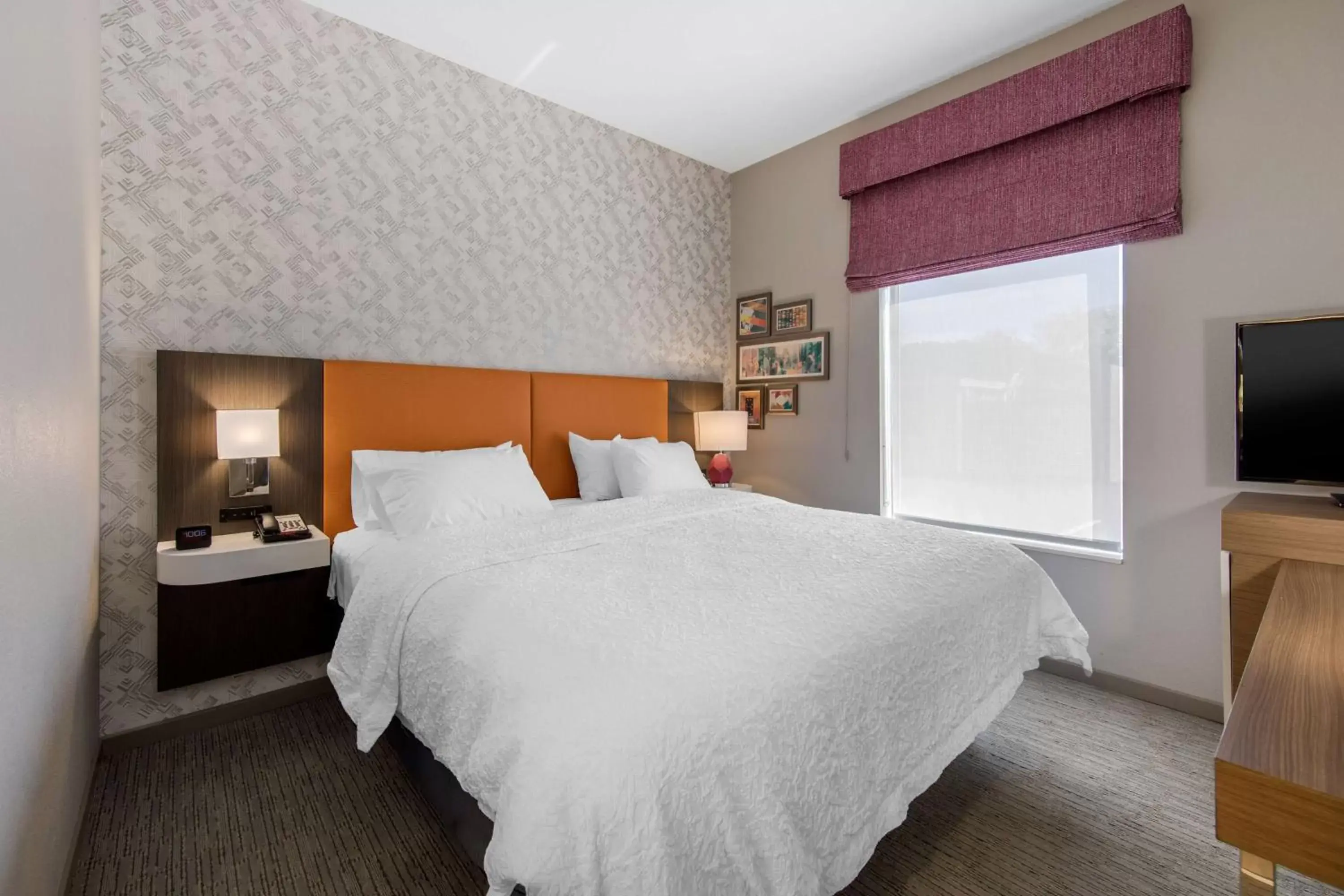 King Studio in Hampton Inn & Suites Ruidoso Downs King Studio in Hampton Inn & Suites Ruidoso Downs