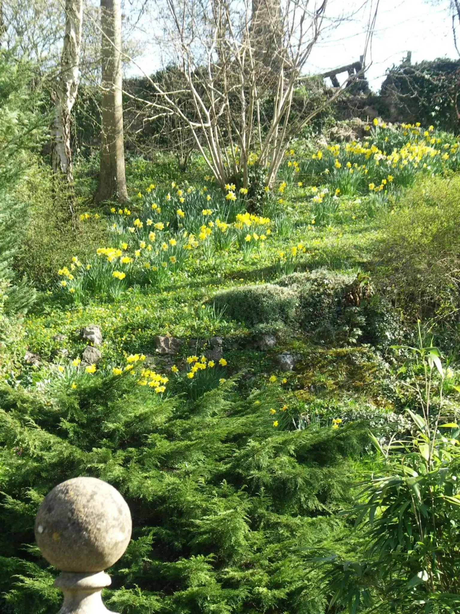 Stay at Penny's Mill Stay at Penny's Mill