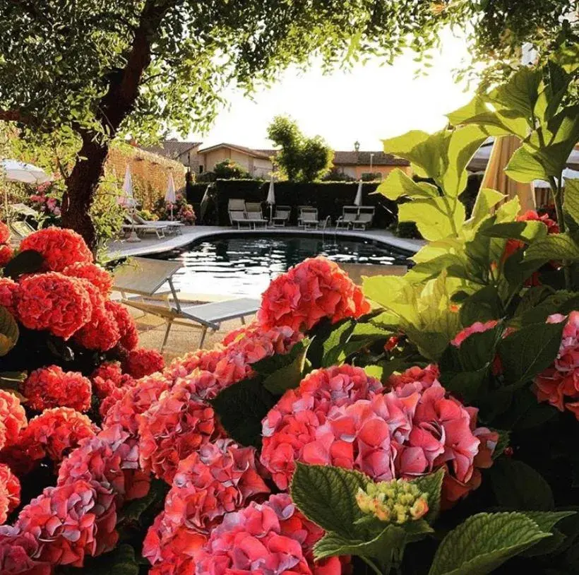 Hotel Romeo Hotel Romeo