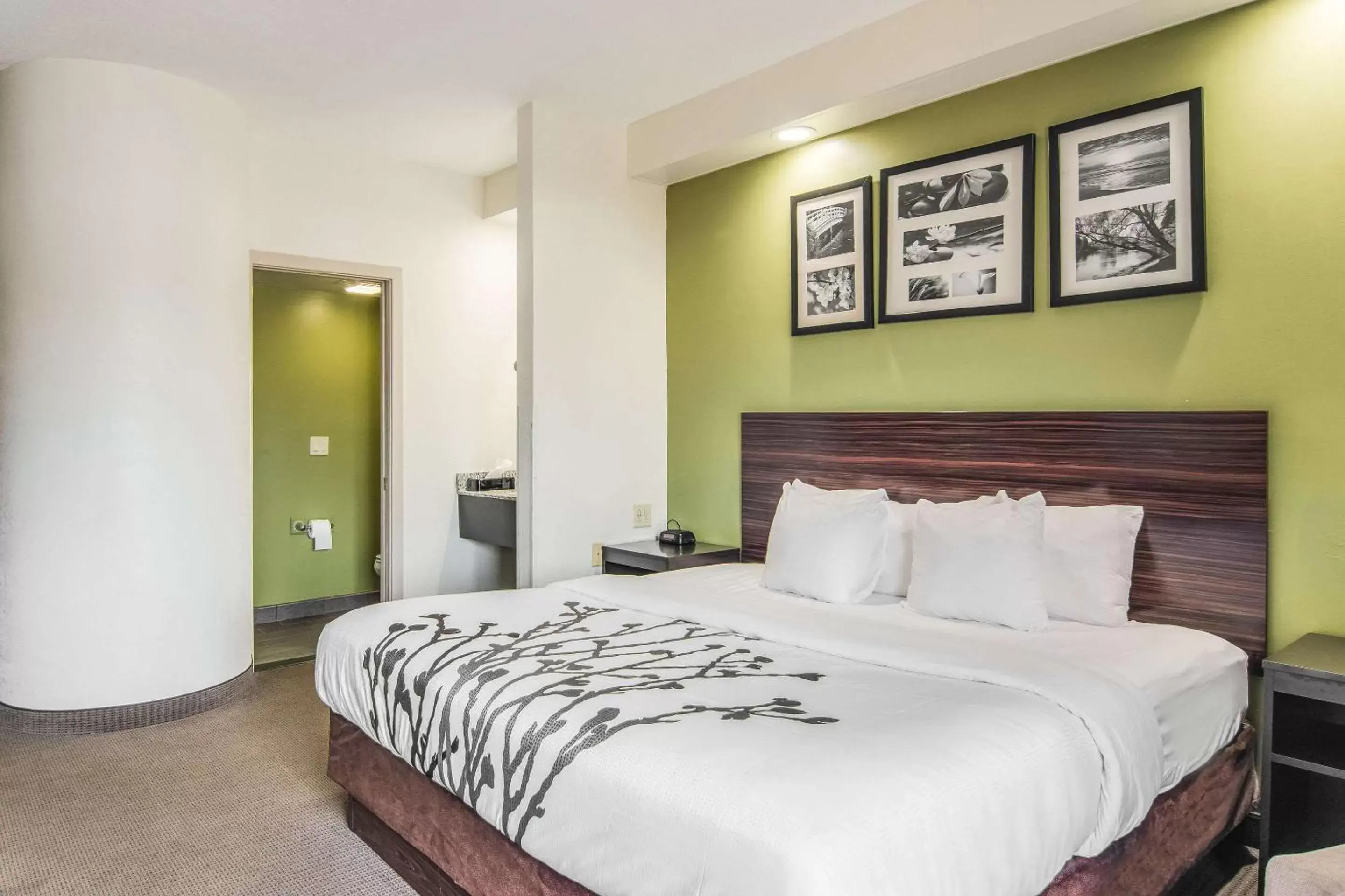 King Room - Smoking in Sleep Inn Austintown - Youngstown, West King Room - Smoking in Sleep Inn Austintown - Youngstown, West