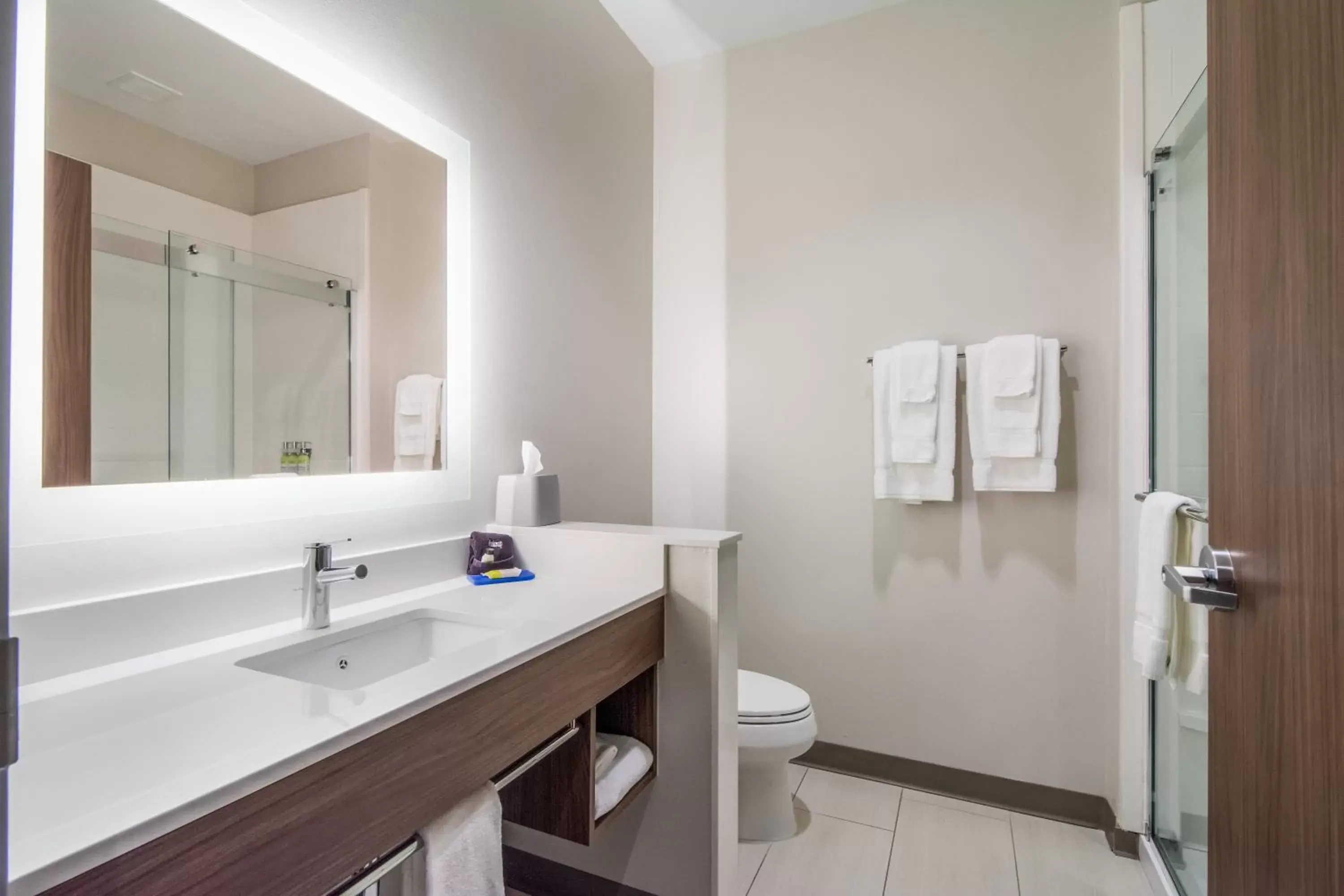 King Room - Mobility Accessible/Non-Smoking in Holiday Inn Express & Suites - Asheboro, an IHG Hotel King Room - Mobility Accessible/Non-Smoking in Holiday Inn Express & Suites - Asheboro, an IHG Hotel