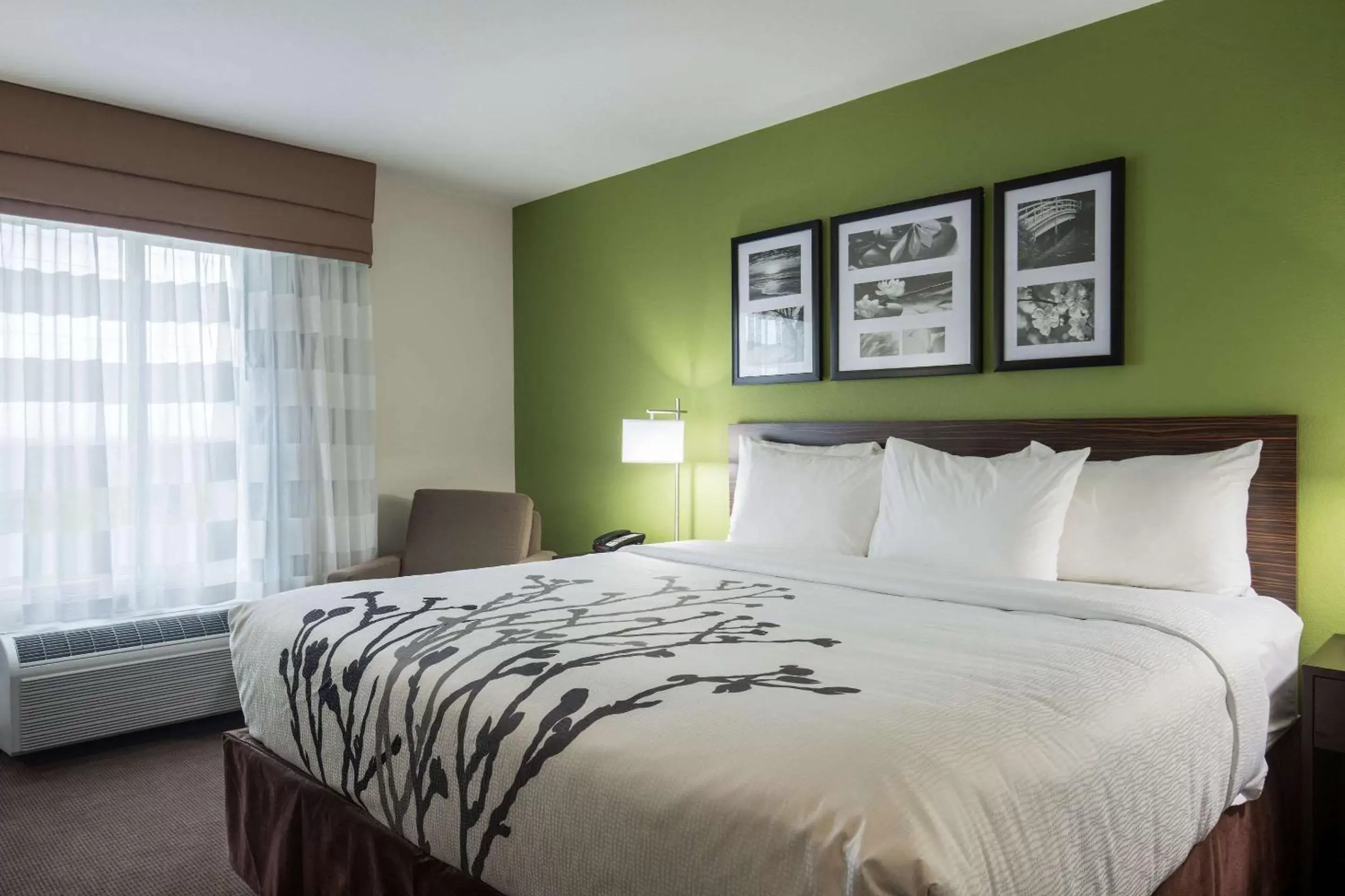 Standard King Room - Non-Smoking in Sleep Inn & Suites Standard King Room - Non-Smoking in Sleep Inn & Suites