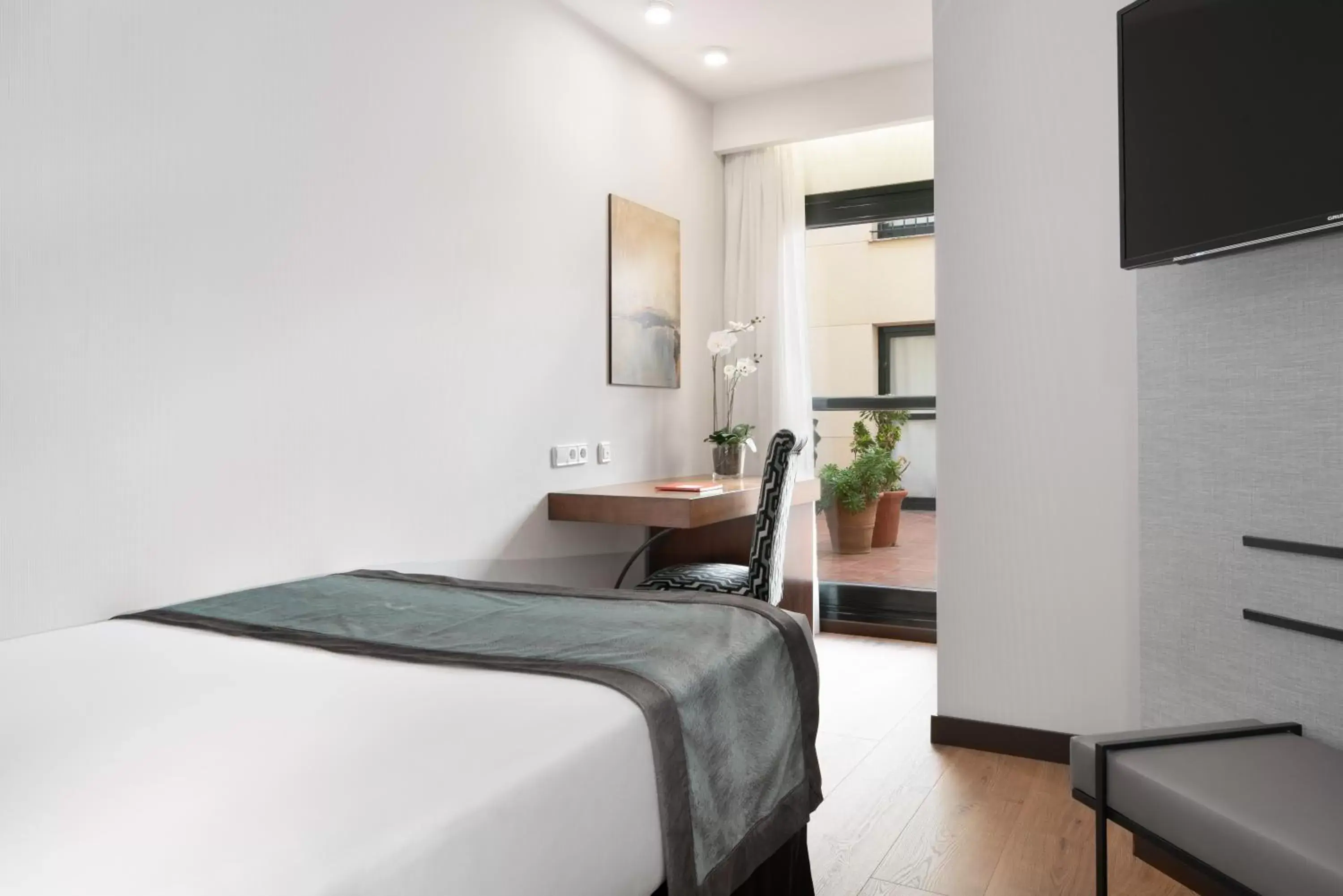 Single Room in Exe Agora Cáceres Single Room in Exe Agora Cáceres