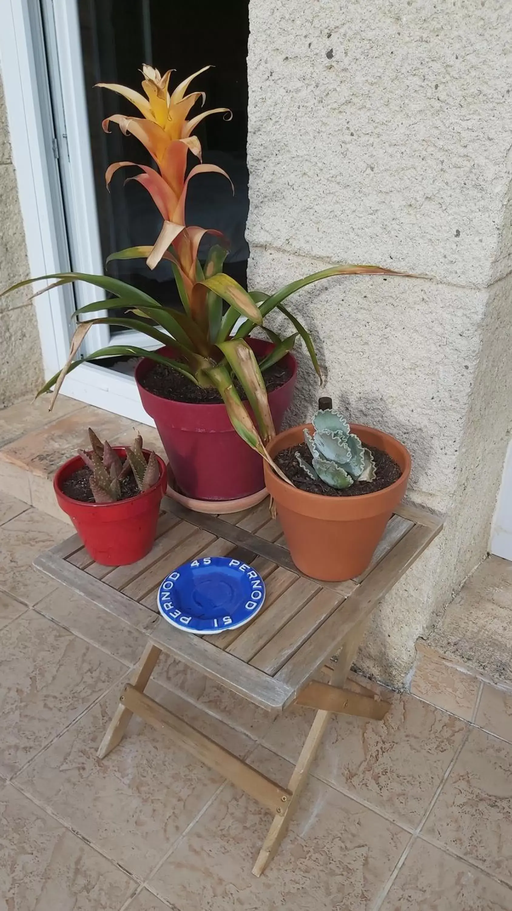 Nezignan paradisio Nezignan paradisio