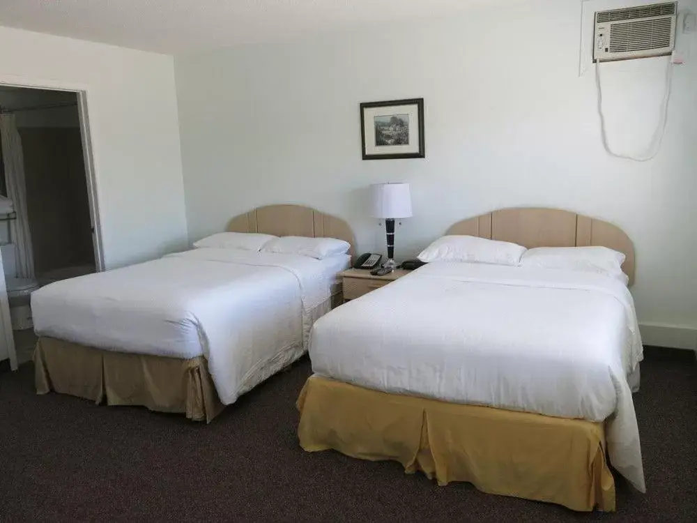 Standard Double Room in Shemron Suites Hotel Standard Double Room in Shemron Suites Hotel