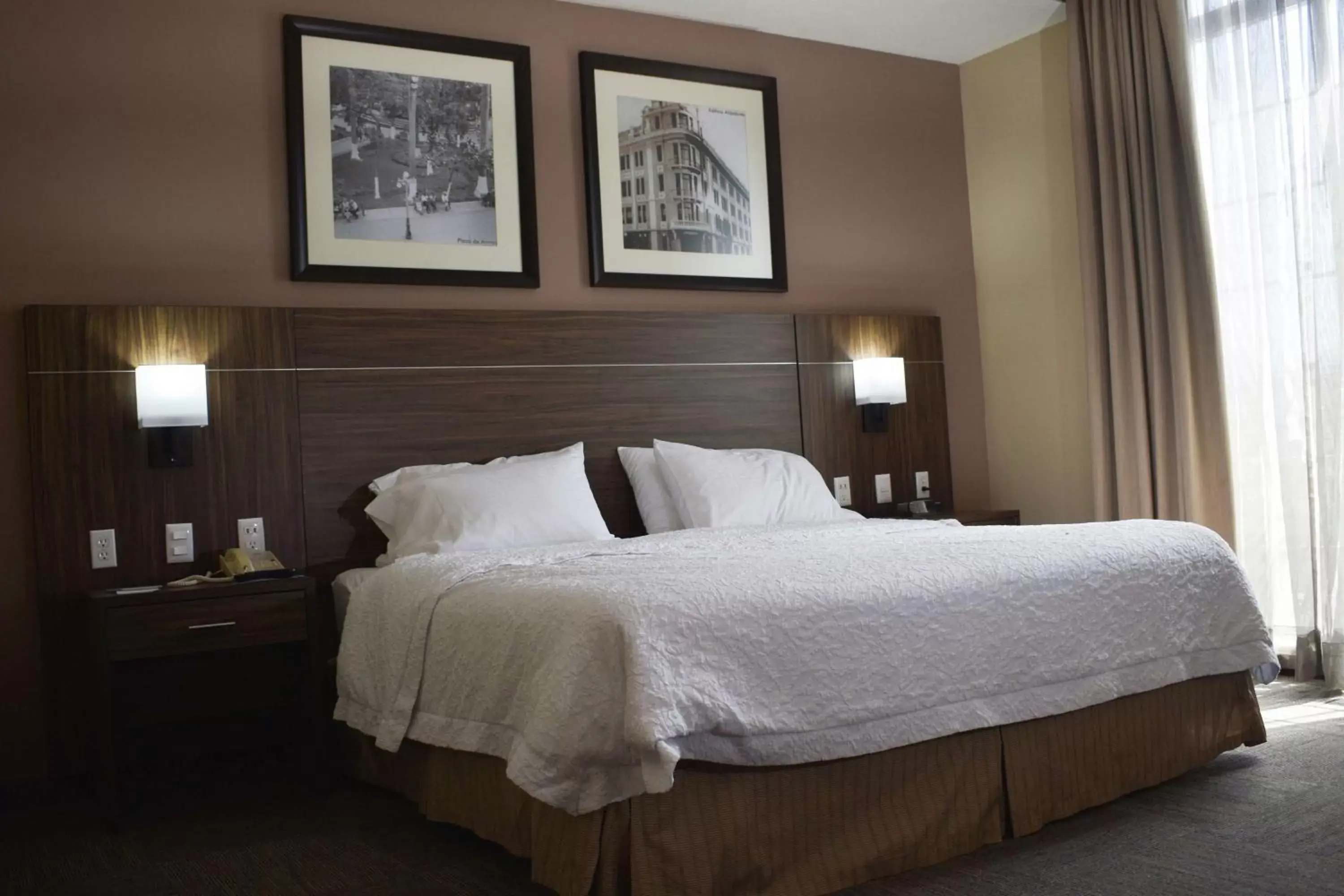 King Studio Suite - Non Smoking in Hampton Inn Tampico Zona Dorada King Studio Suite - Non Smoking in Hampton Inn Tampico Zona Dorada