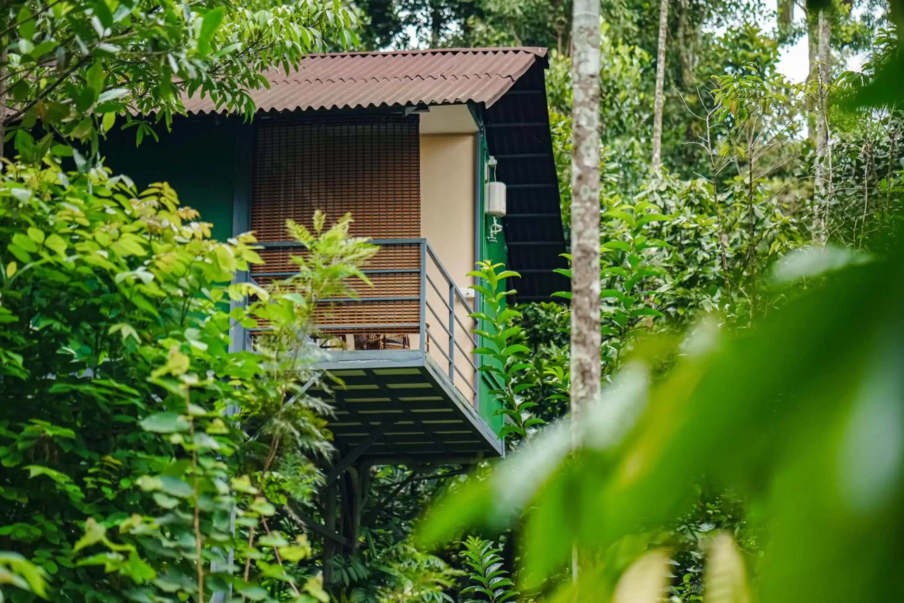 Deluxe Double Room in Edens Munnar Deluxe Double Room in Edens Munnar