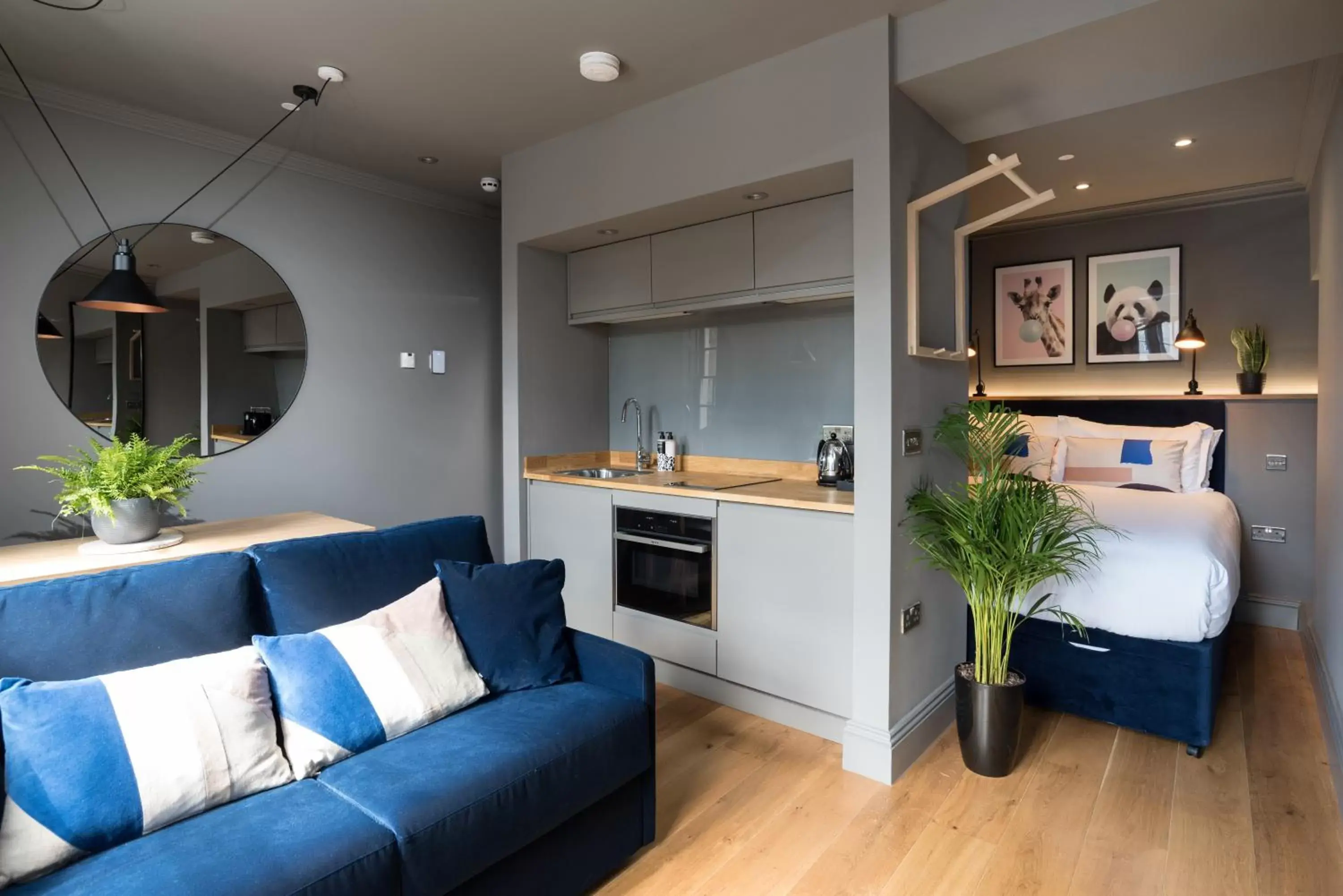 Standard Studio Apartment - Upper Floor in Hiding Space - Trim Street Apartments Standard Studio Apartment - Upper Floor in Hiding Space - Trim Street Apartments