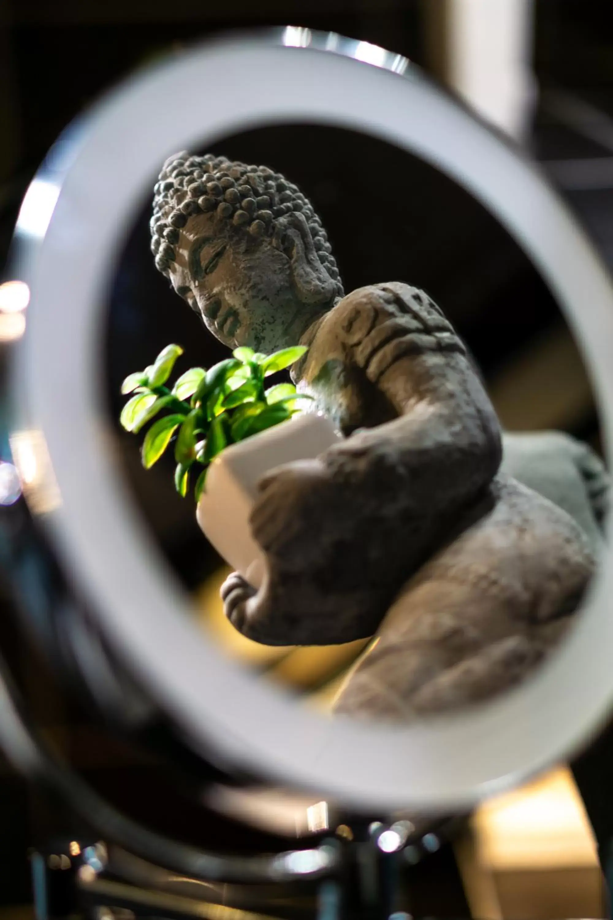 Standard Single Room in SL'otel - Das StadtHotel - voll Klimatisiert Standard Single Room in SL'otel - Das StadtHotel - voll Klimatisiert