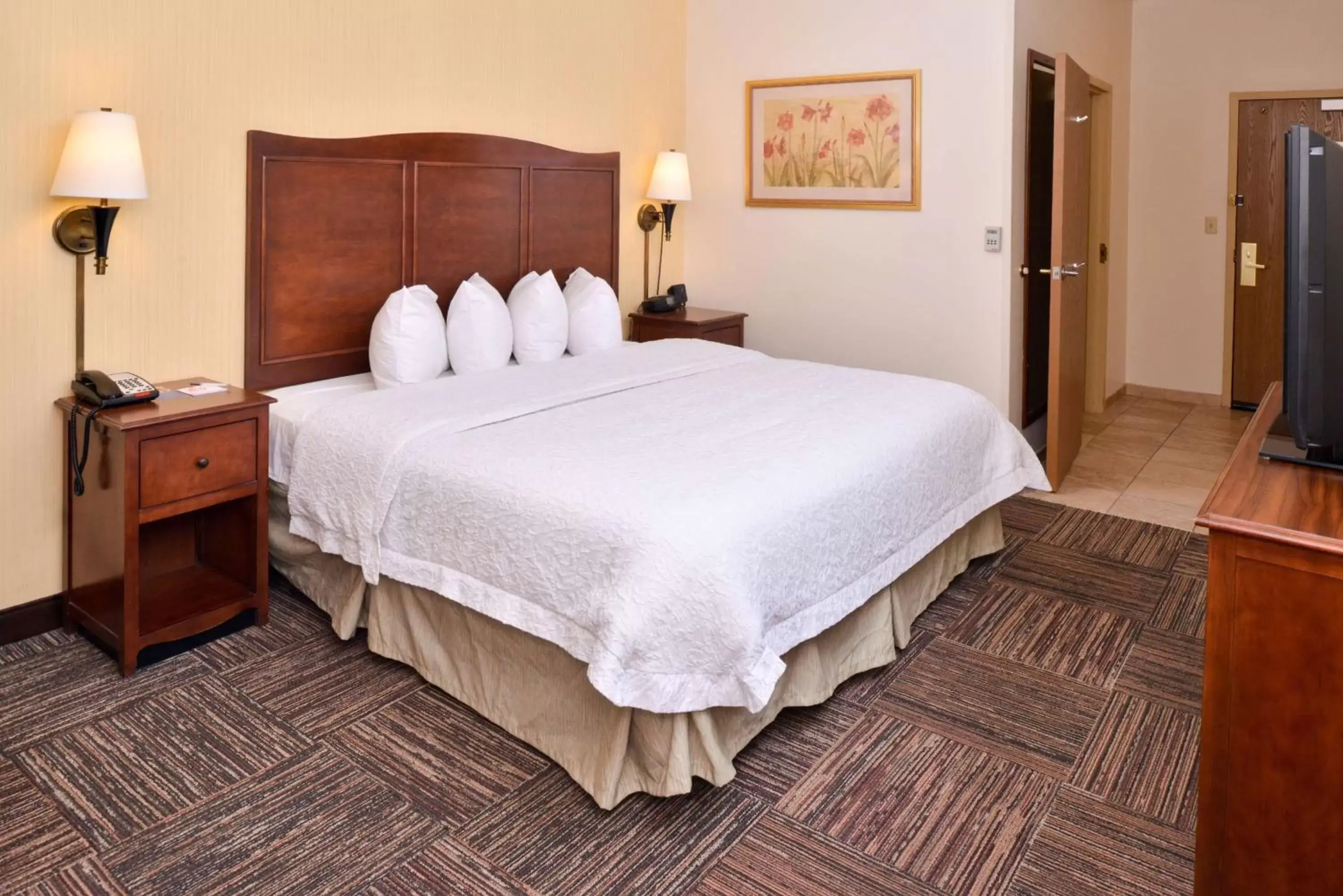 King Room - Disability Access with Bathtub in Hampton Inn Elkhart King Room - Disability Access with Bathtub in Hampton Inn Elkhart