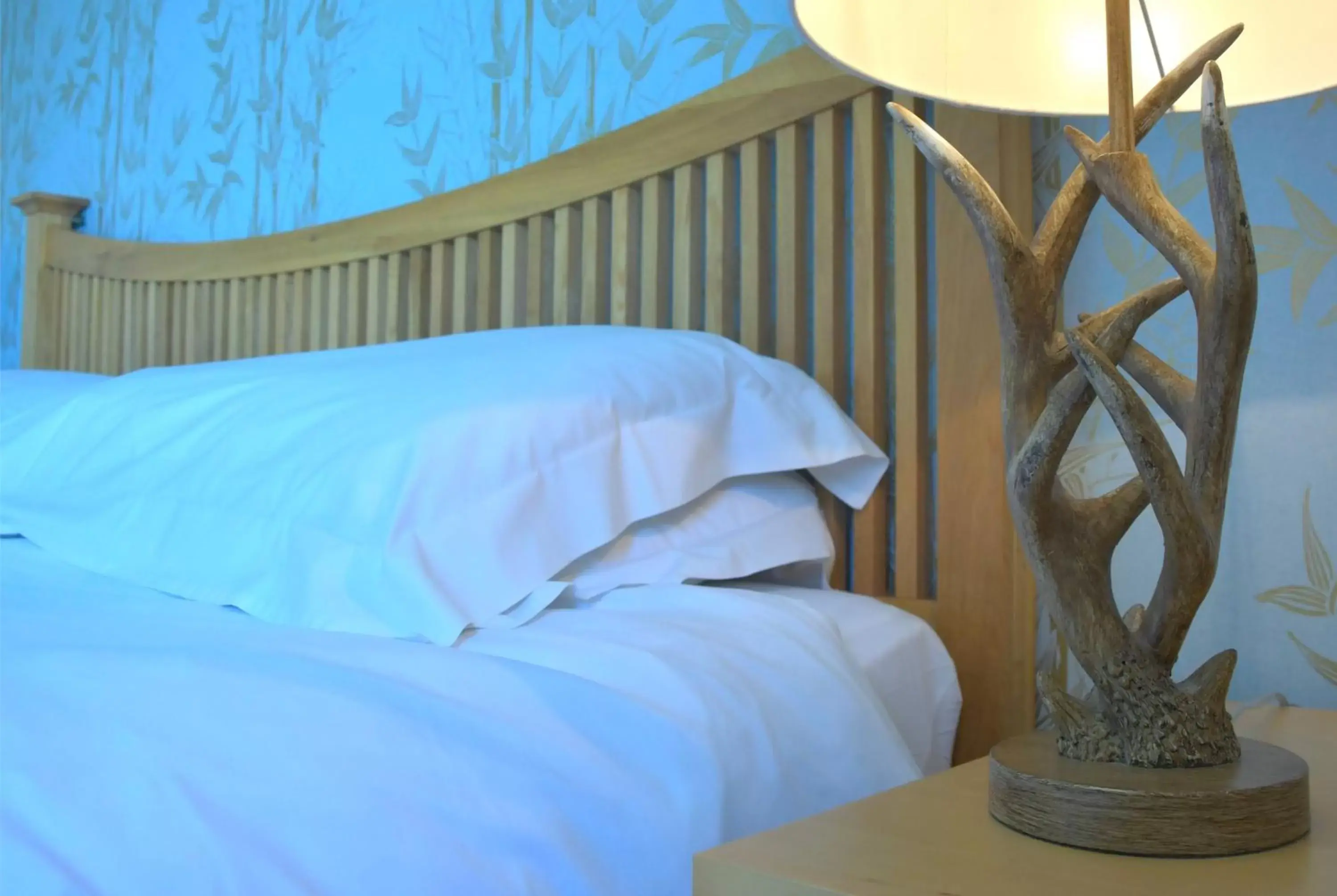 Double or Twin Room in No12 Bed and Breakfast, St Andrews Double or Twin Room in No12 Bed and Breakfast, St Andrews