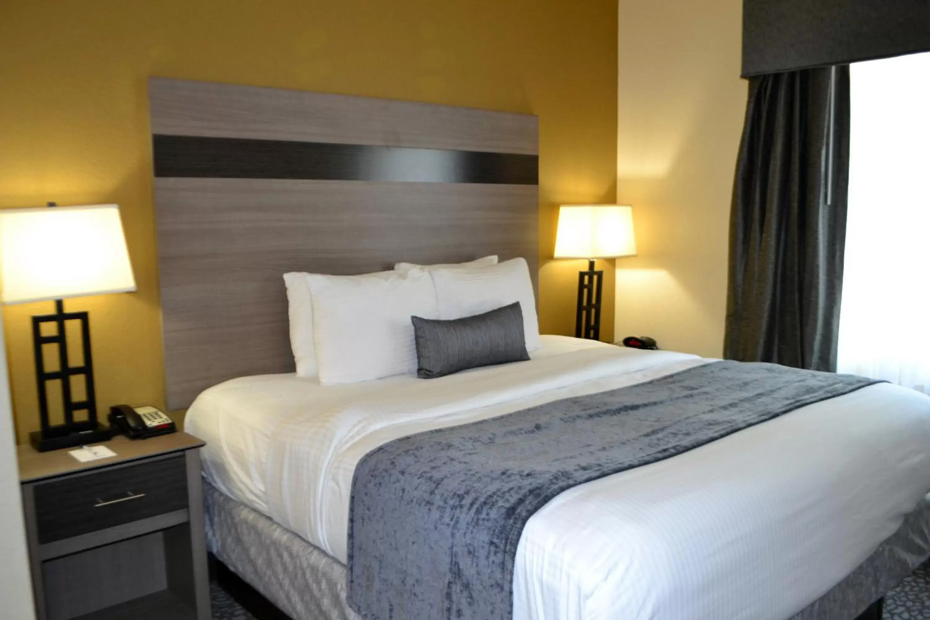 King Room with Roll-in Shower - Disability Access - Non-smoking in Best Western Sherwood Inn & Suites King Room with Roll-in Shower - Disability Access - Non-smoking in Best Western Sherwood Inn & Suites