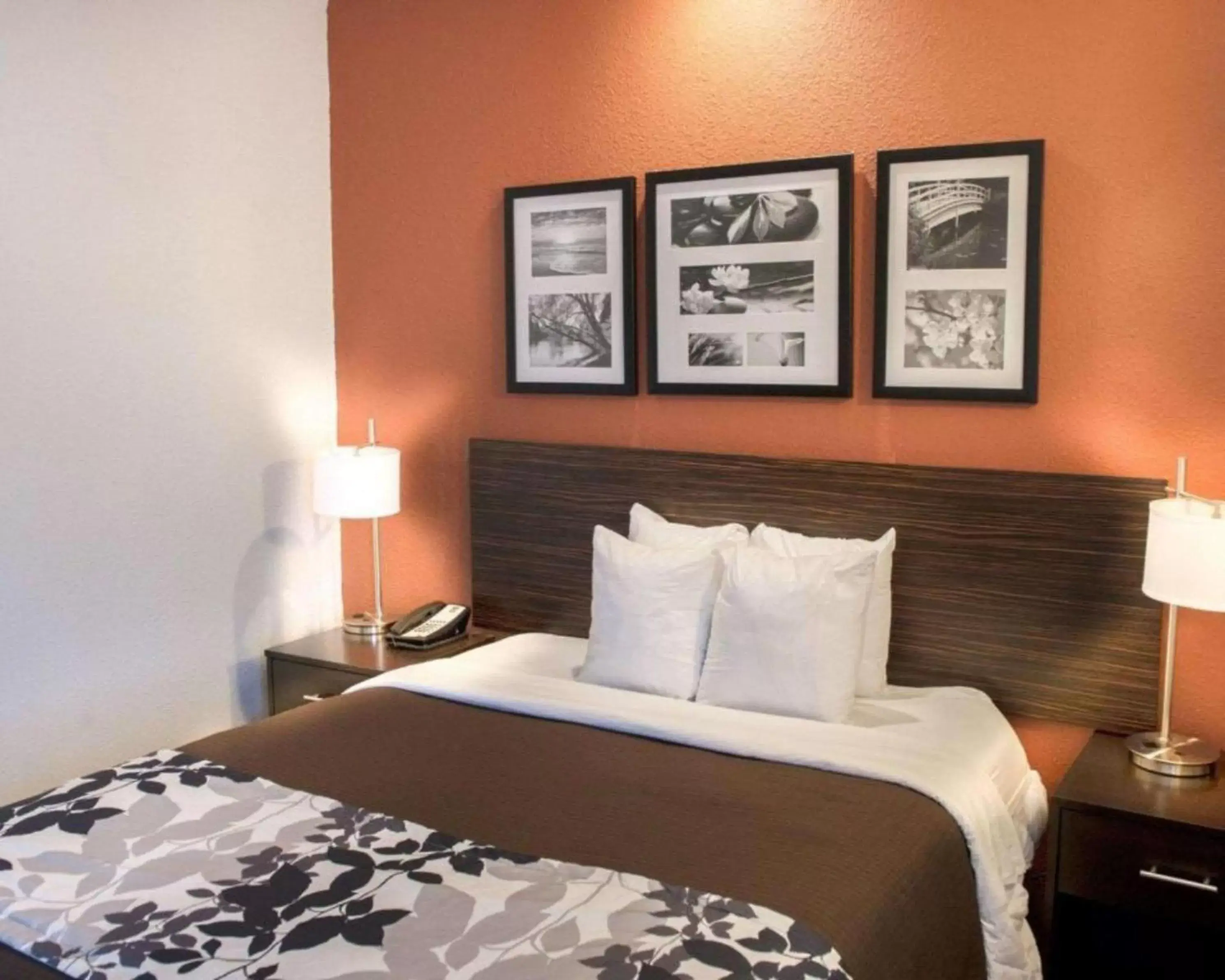 Queen Room with 2 Person Whirlpool-In Bath - Accessible/Non-Smoking in Sleep Inn O'Fallon near I-64 Queen Room with 2 Person Whirlpool-In Bath - Accessible/Non-Smoking in Sleep Inn O'Fallon near I-64