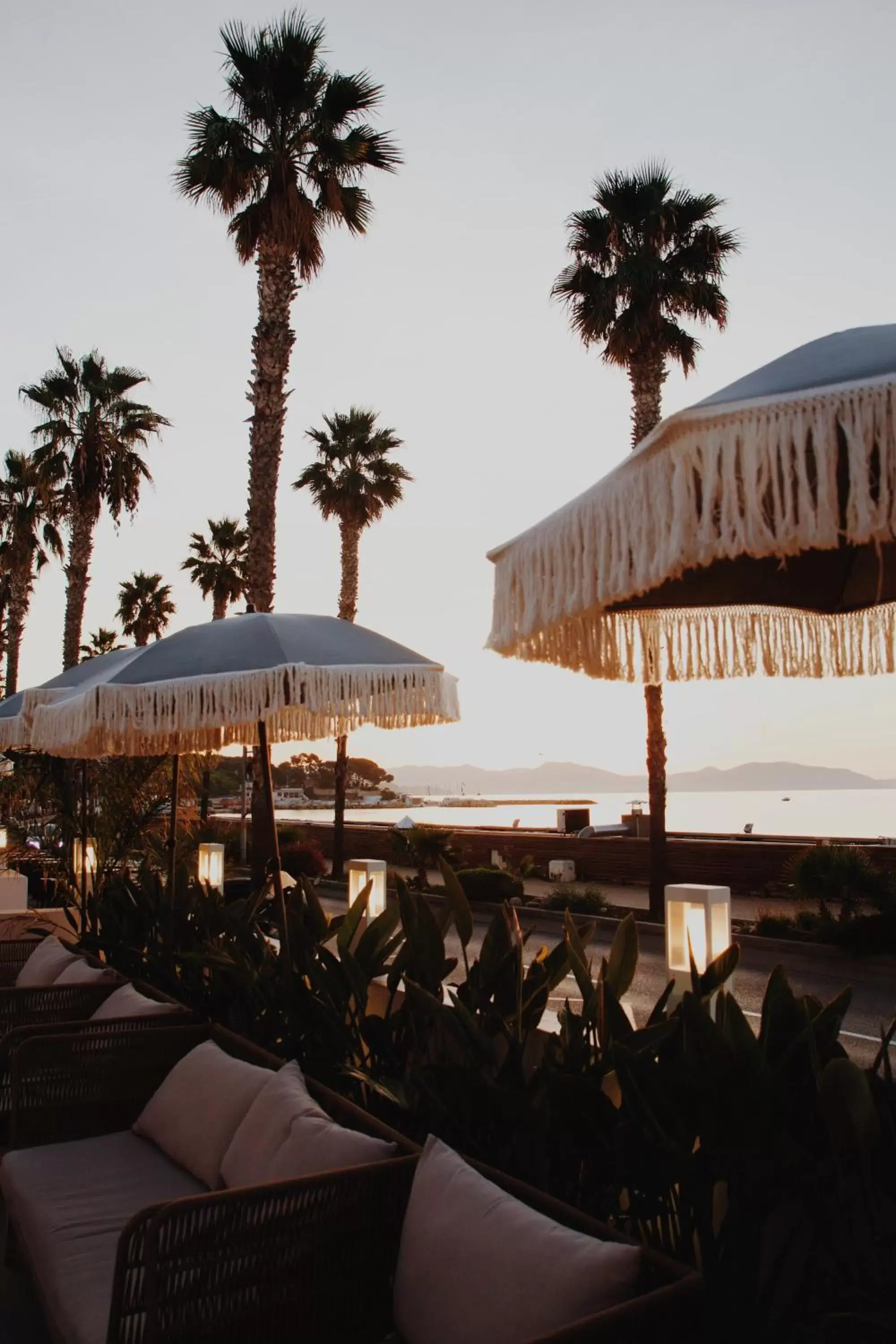 Le Rose Thé Le Rose Thé