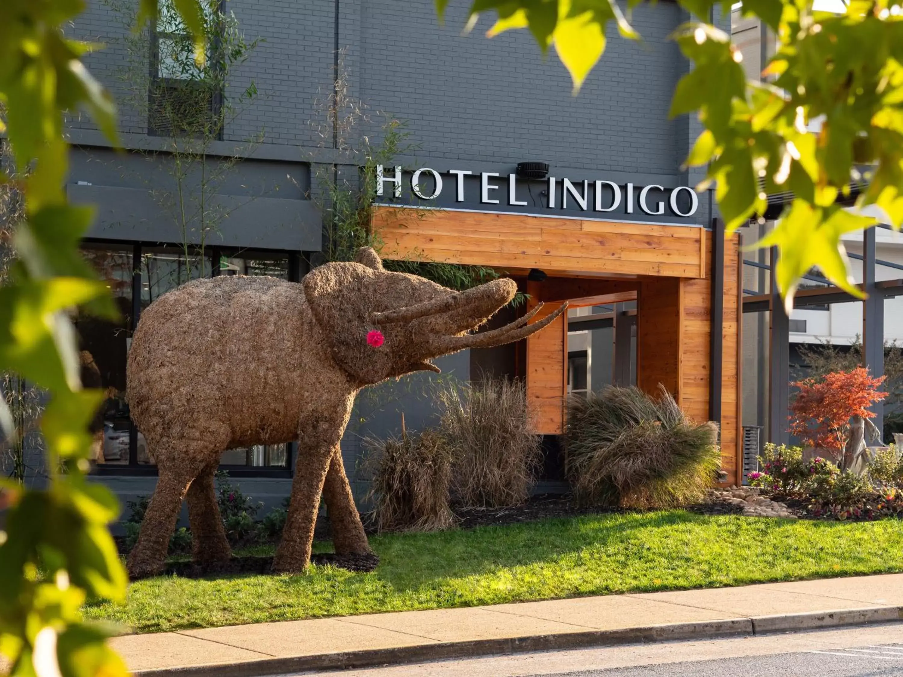 Hotel Indigo Chattanooga - Downtown by IHG Hotel Indigo Chattanooga - Downtown by IHG