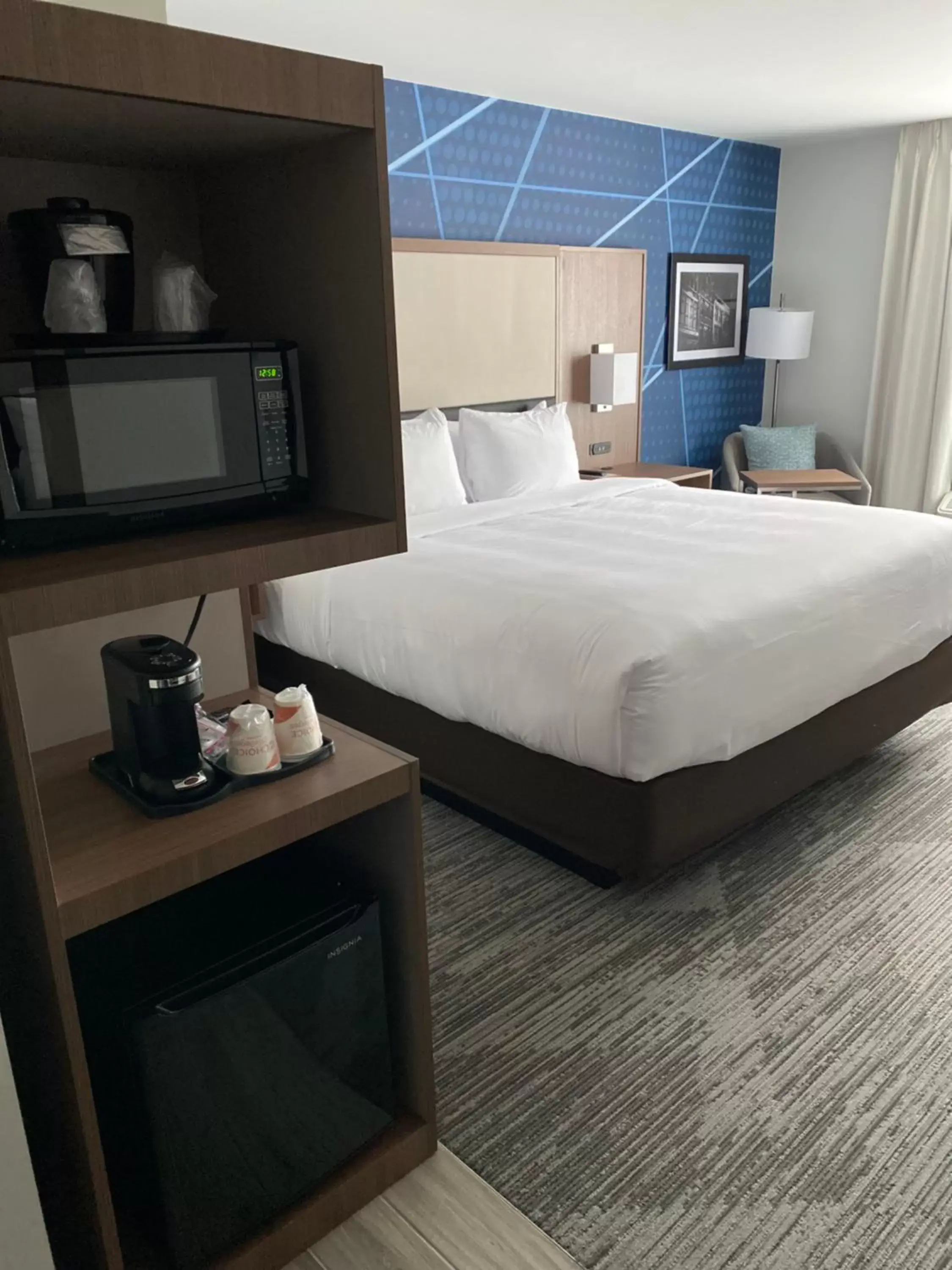 King Room with Tub - Disability Access/Non Smoking/Pet Friendly in Comfort Inn & Suites Gallatin - Nashville Metro King Room with Tub - Disability Access/Non Smoking/Pet Friendly in Comfort Inn & Suites Gallatin - Nashville Metro