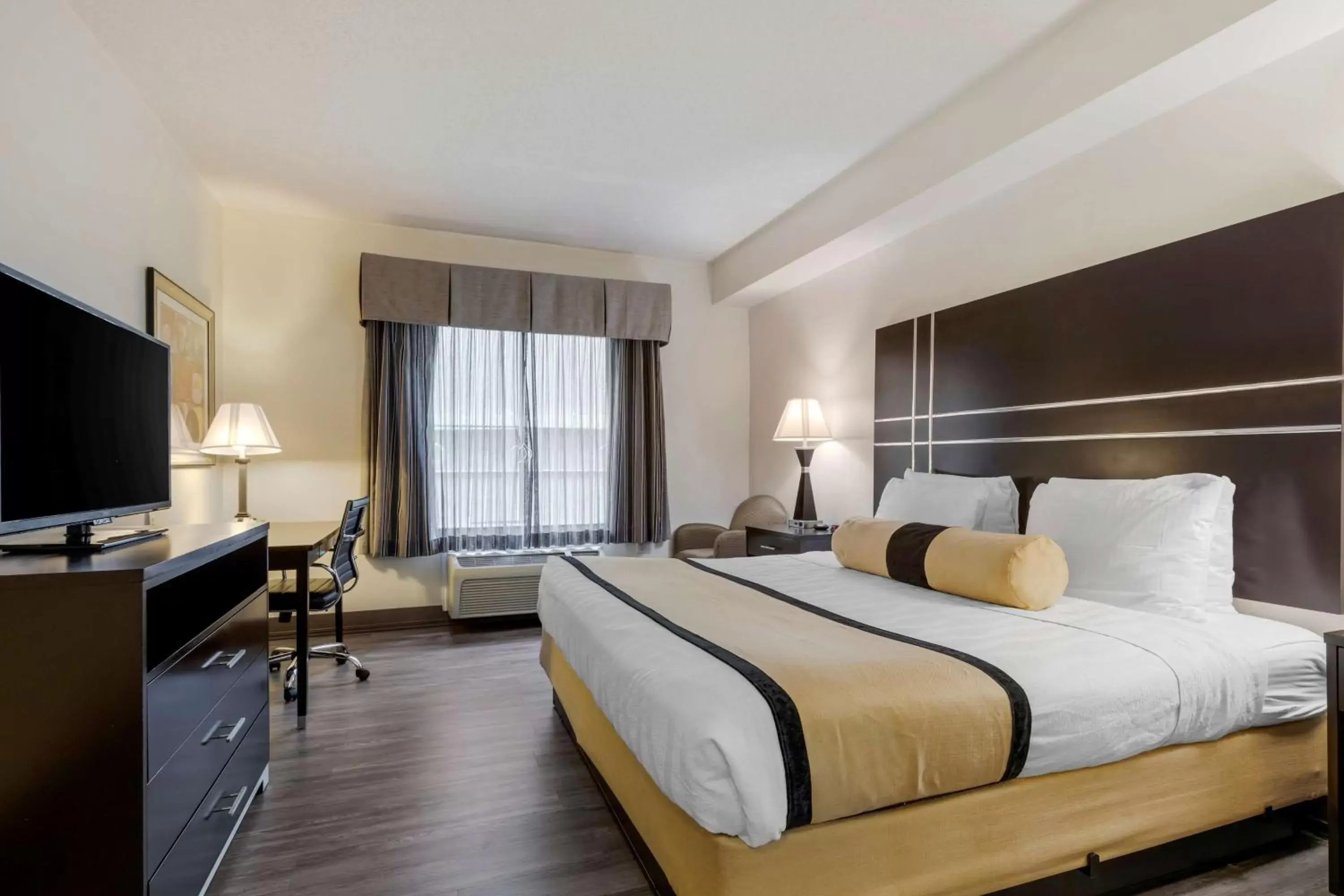 King Room with Roll-In Shower - Disability Access in Best Western PLUS Rockwall Inn & Suites King Room with Roll-In Shower - Disability Access in Best Western PLUS Rockwall Inn & Suites