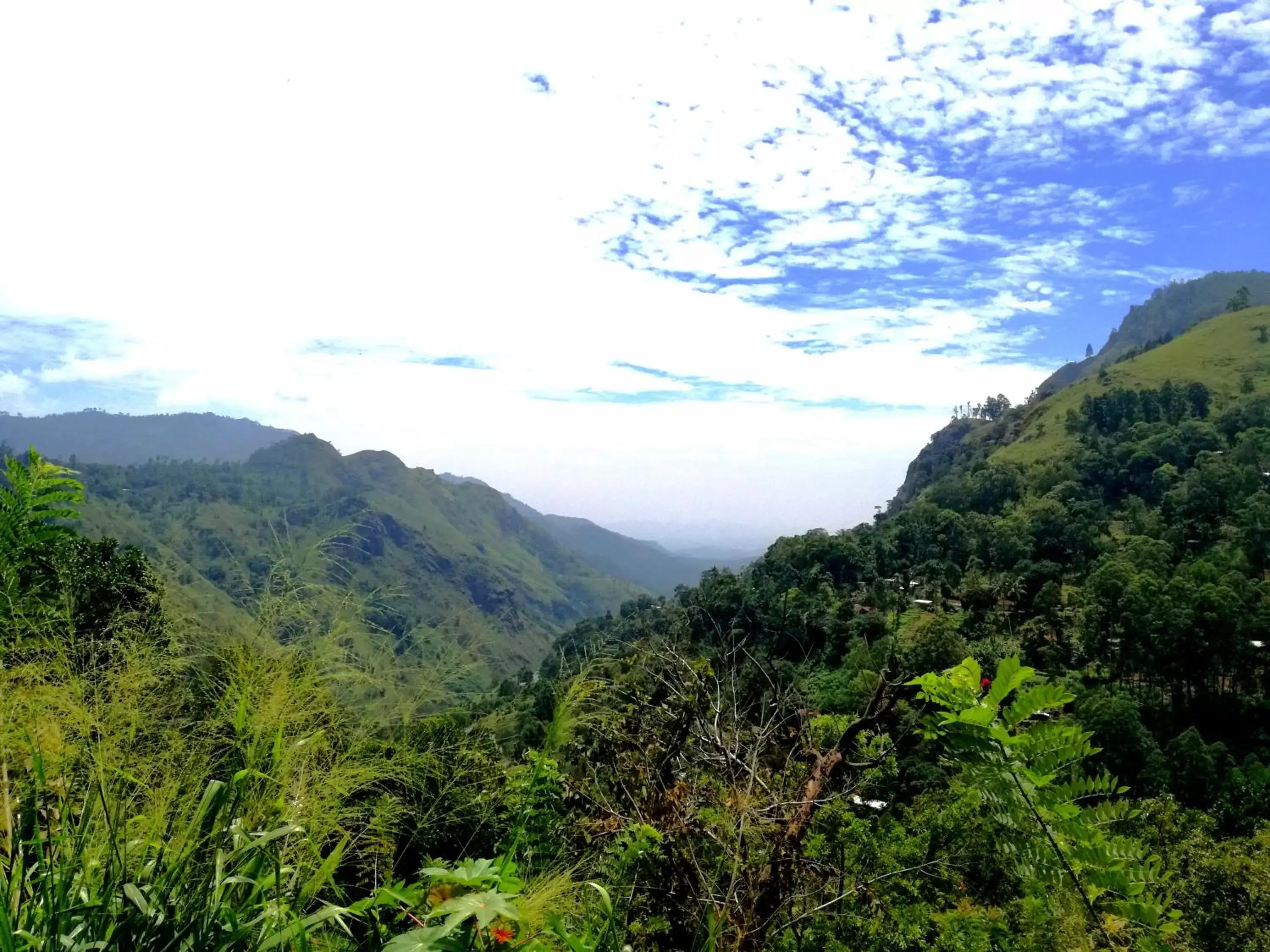 Ella Sunrise Ella Sunrise