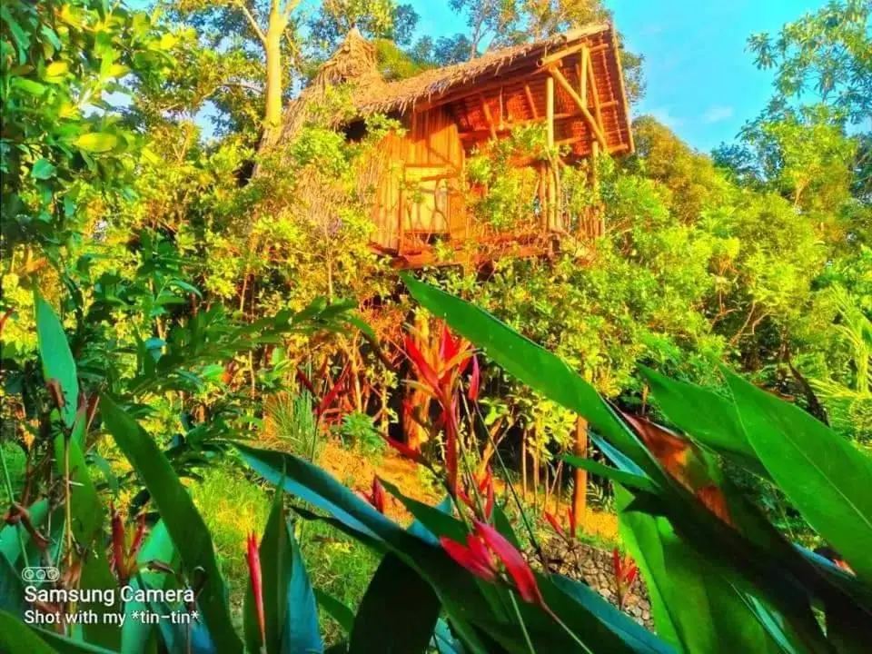 Double or Twin Room with Sea View in Sanctuaria Treehouses Busuanga Double or Twin Room with Sea View in Sanctuaria Treehouses Busuanga