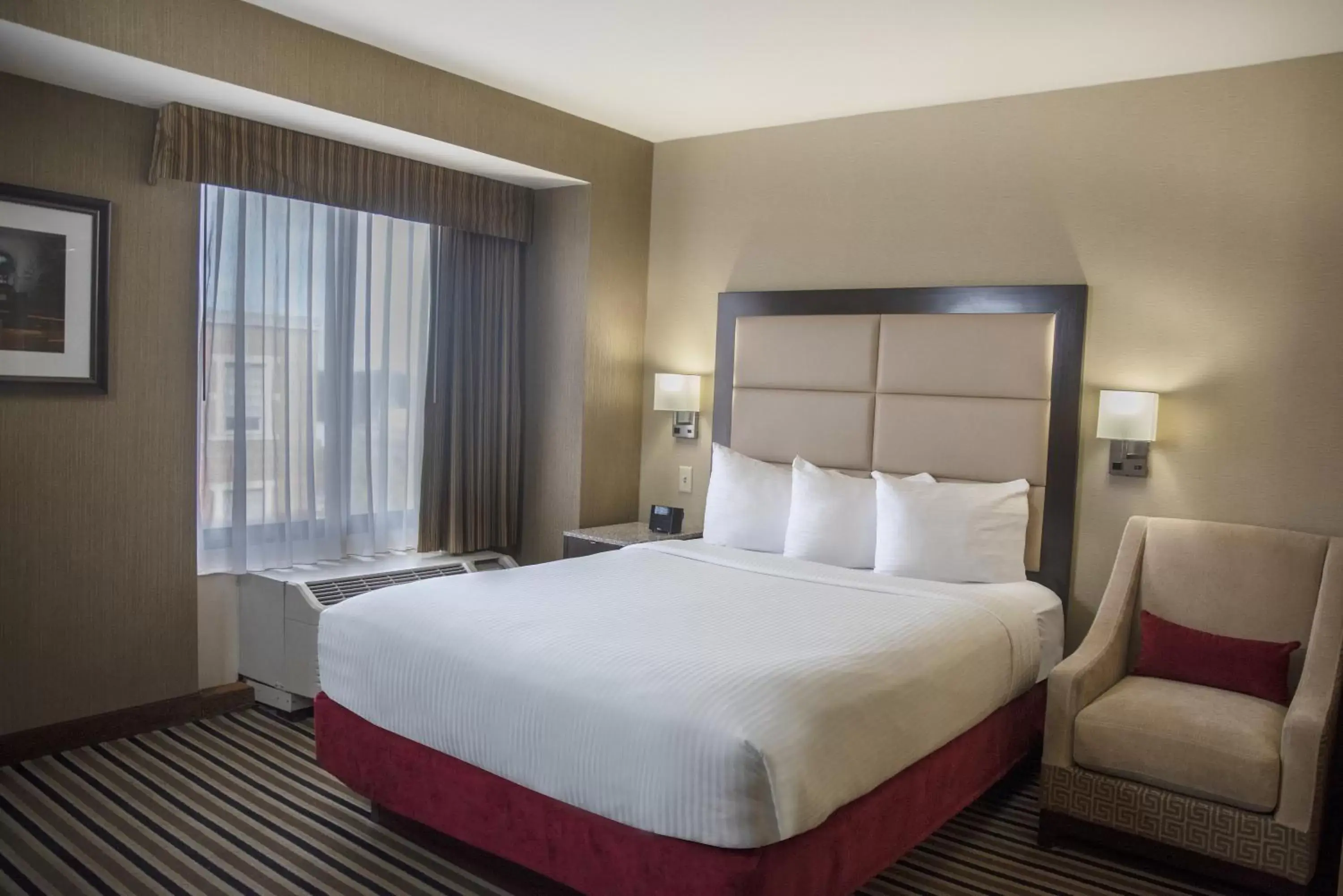 Premier Queen Room in The Madison Concourse Hotel Premier Queen Room in The Madison Concourse Hotel