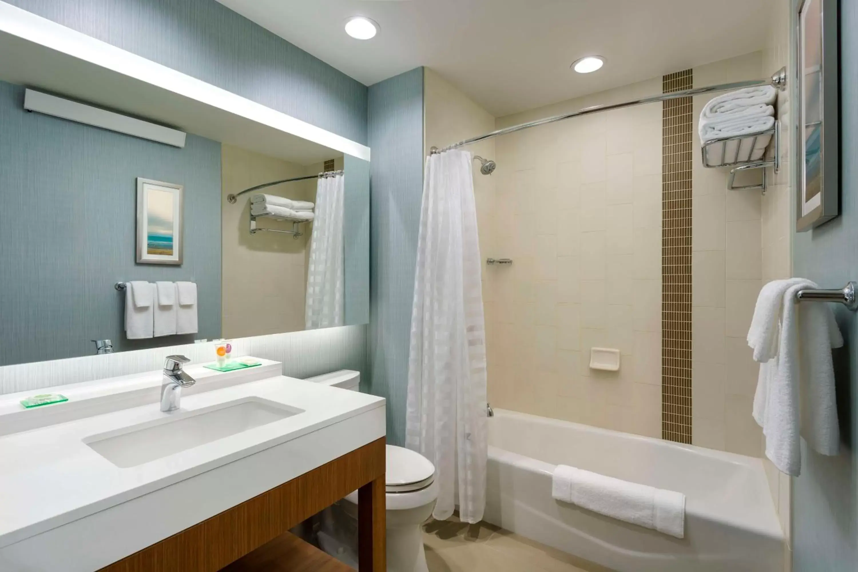 Hyatt Place Chicago/Downtown - The Loop Hyatt Place Chicago/Downtown - The Loop