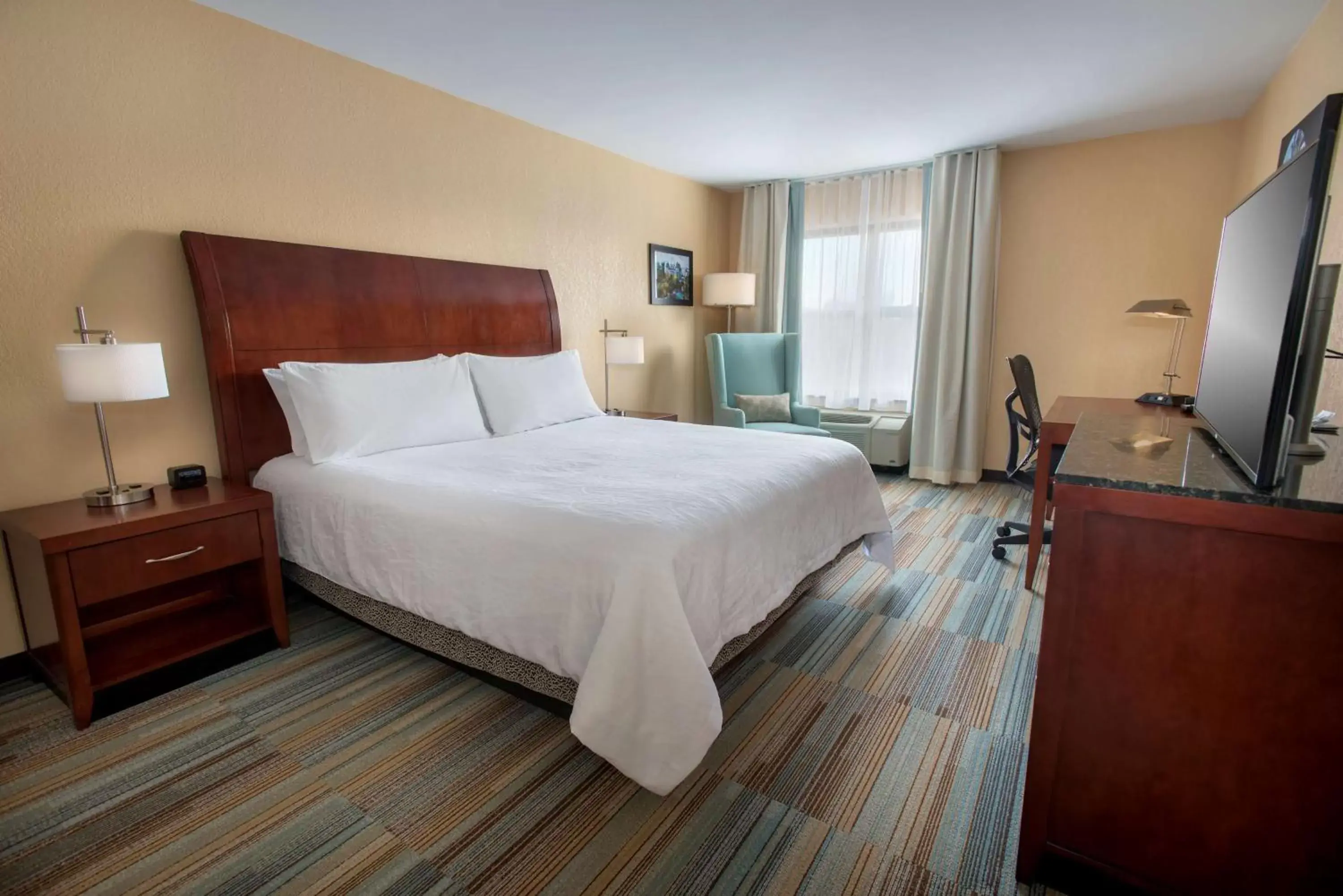 Junior King Suite with Sofa Bed in Hilton Garden Inn Albany Medical Center Junior King Suite with Sofa Bed in Hilton Garden Inn Albany Medical Center