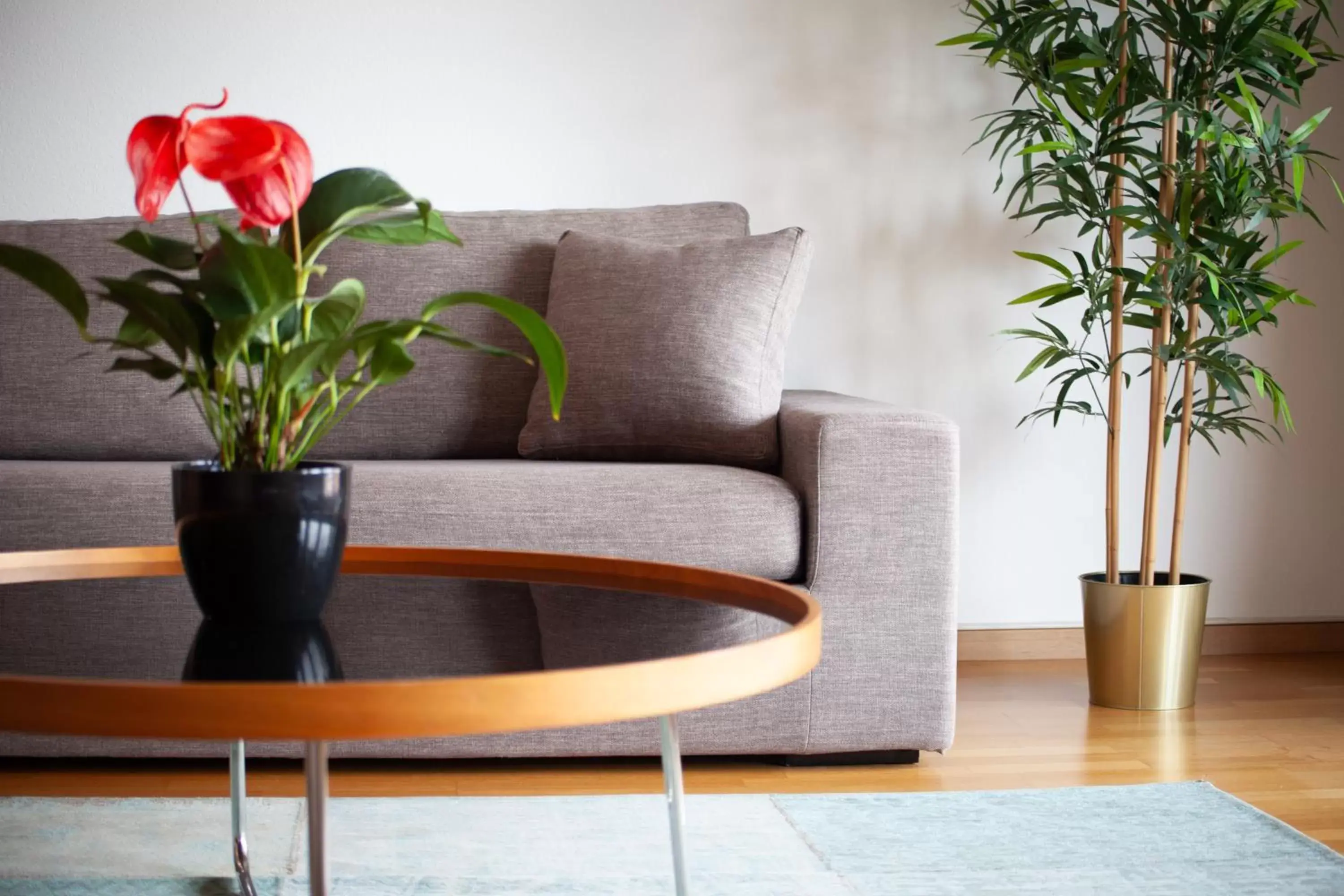 Superior Apartment - single occupancy in Tertianum Residenza Al Parco Appartements & Restaurant Superior Apartment - single occupancy in Tertianum Residenza Al Parco Appartements & Restaurant