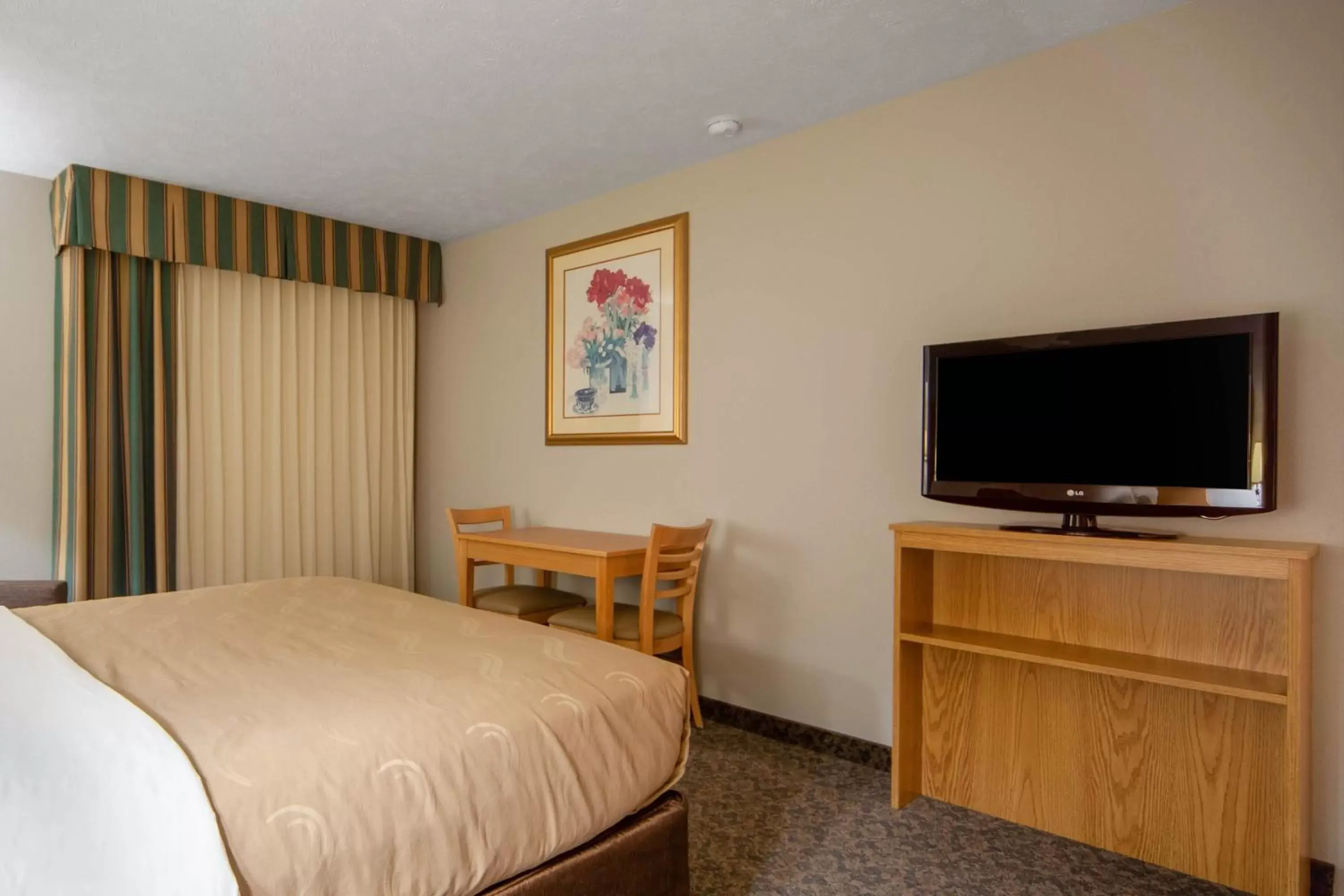Efficiency Queen Suite - Accessible/Non-Smoking in Suburban Studios I-80 Grand Island Efficiency Queen Suite - Accessible/Non-Smoking in Suburban Studios I-80 Grand Island