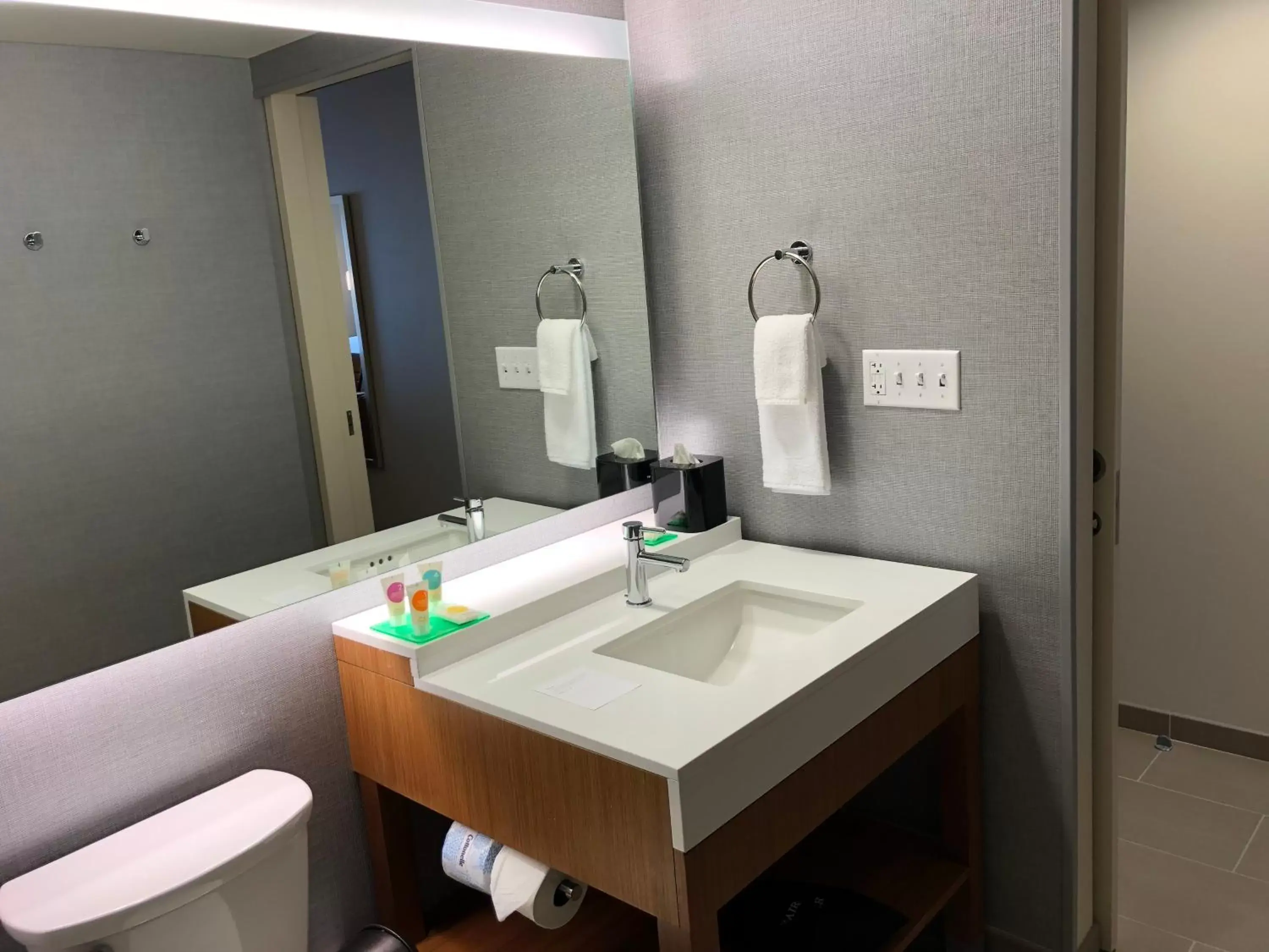 King Room with Sofa Bed and Mountain View in Hyatt Place St George/Convention Center King Room with Sofa Bed and Mountain View in Hyatt Place St George/Convention Center