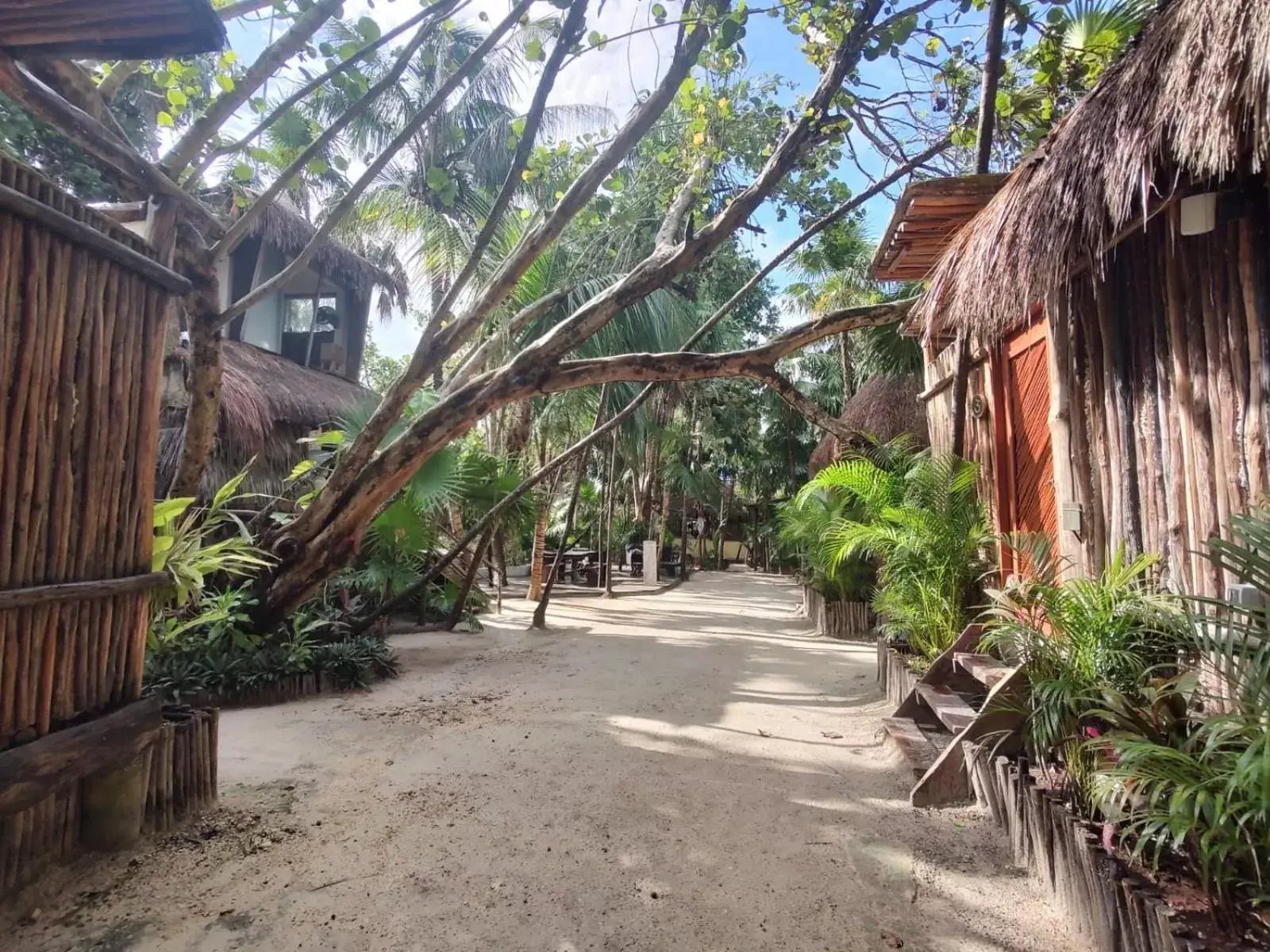 Co.Bañitas Co.Bañitas