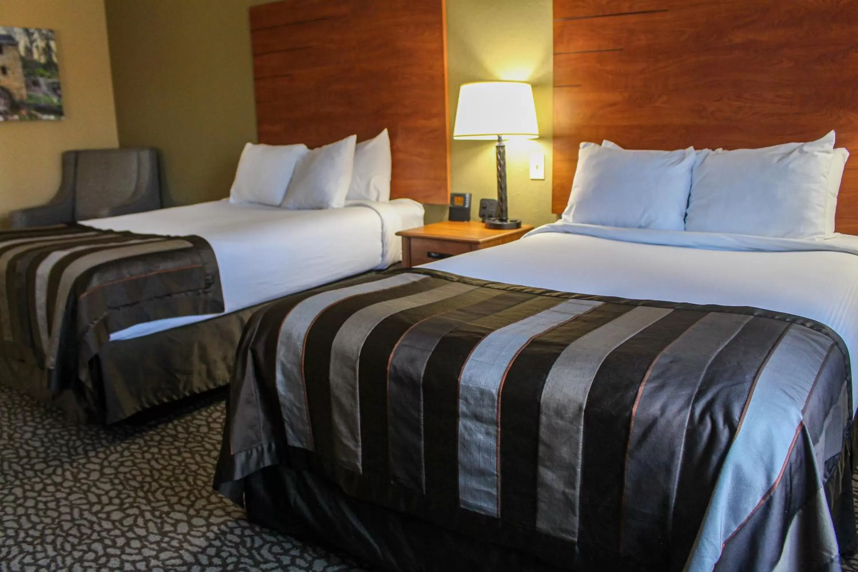 Double Room with Two Double Beds- Non-Smoking in Wingate by Wyndham Little Rock Double Room with Two Double Beds- Non-Smoking in Wingate by Wyndham Little Rock