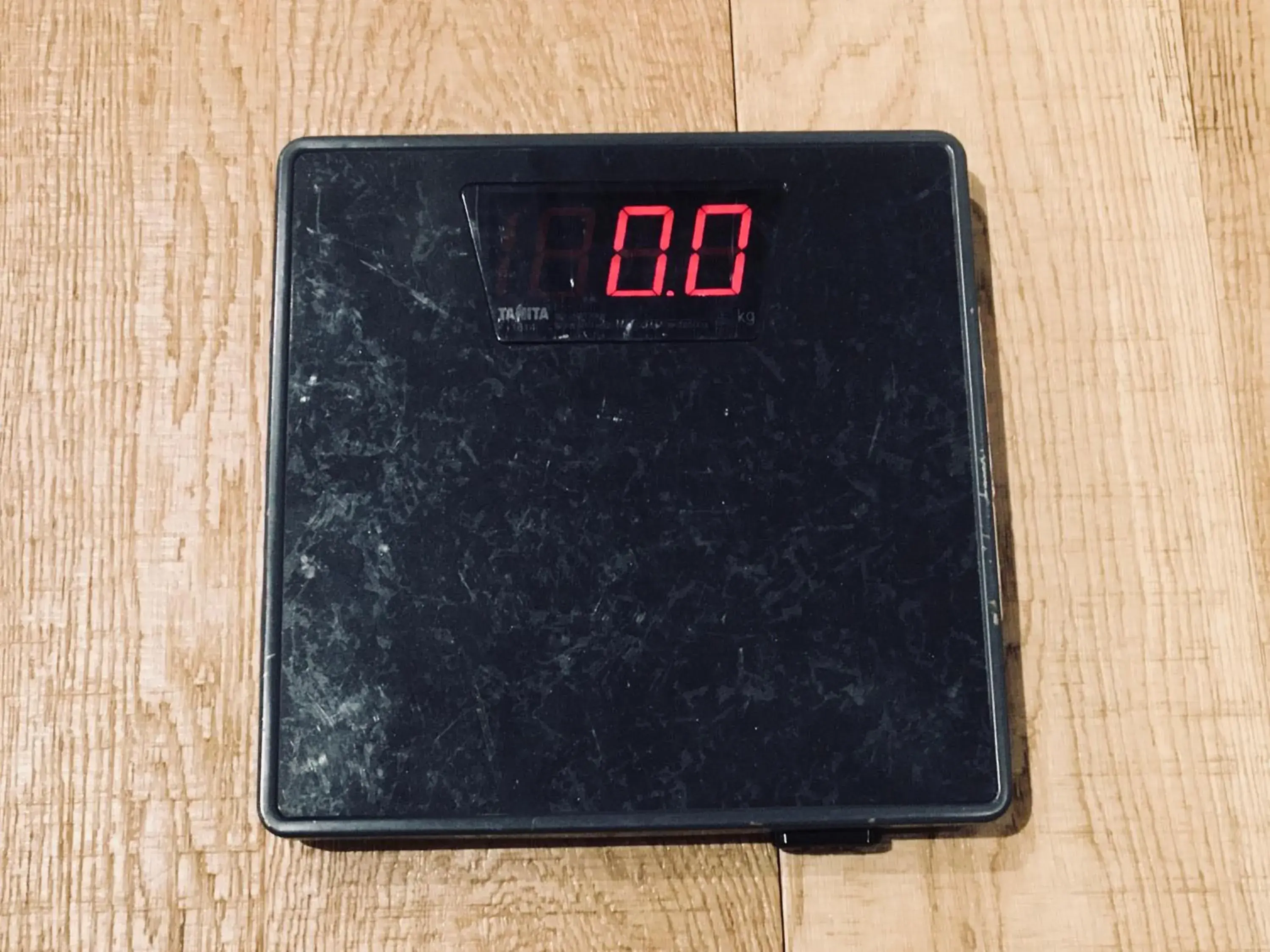 Area and facilities in Kangaroo Hotel Side B Area and facilities in Kangaroo Hotel Side B