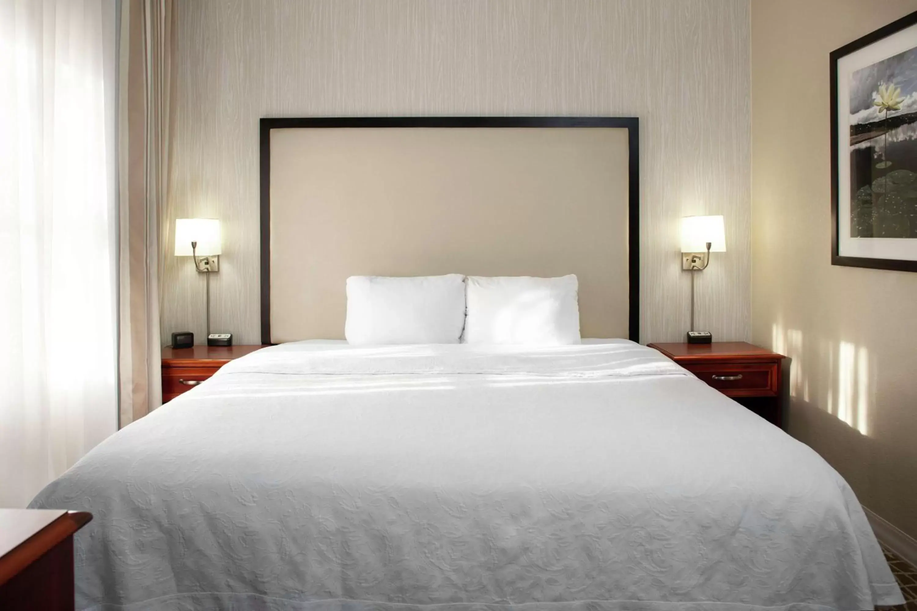 King Suite - Hearing Accesible/Non-Smoking in Homewood Suites by Hilton Tallahassee King Suite - Hearing Accesible/Non-Smoking in Homewood Suites by Hilton Tallahassee