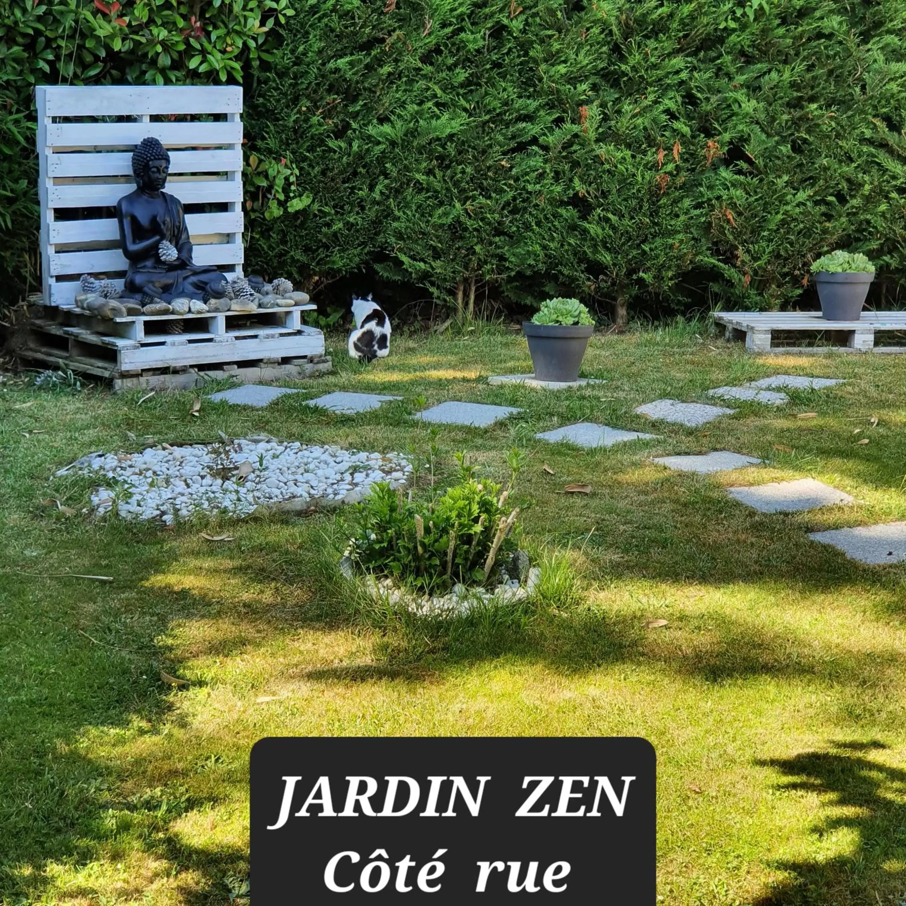 Verolithos Verolithos