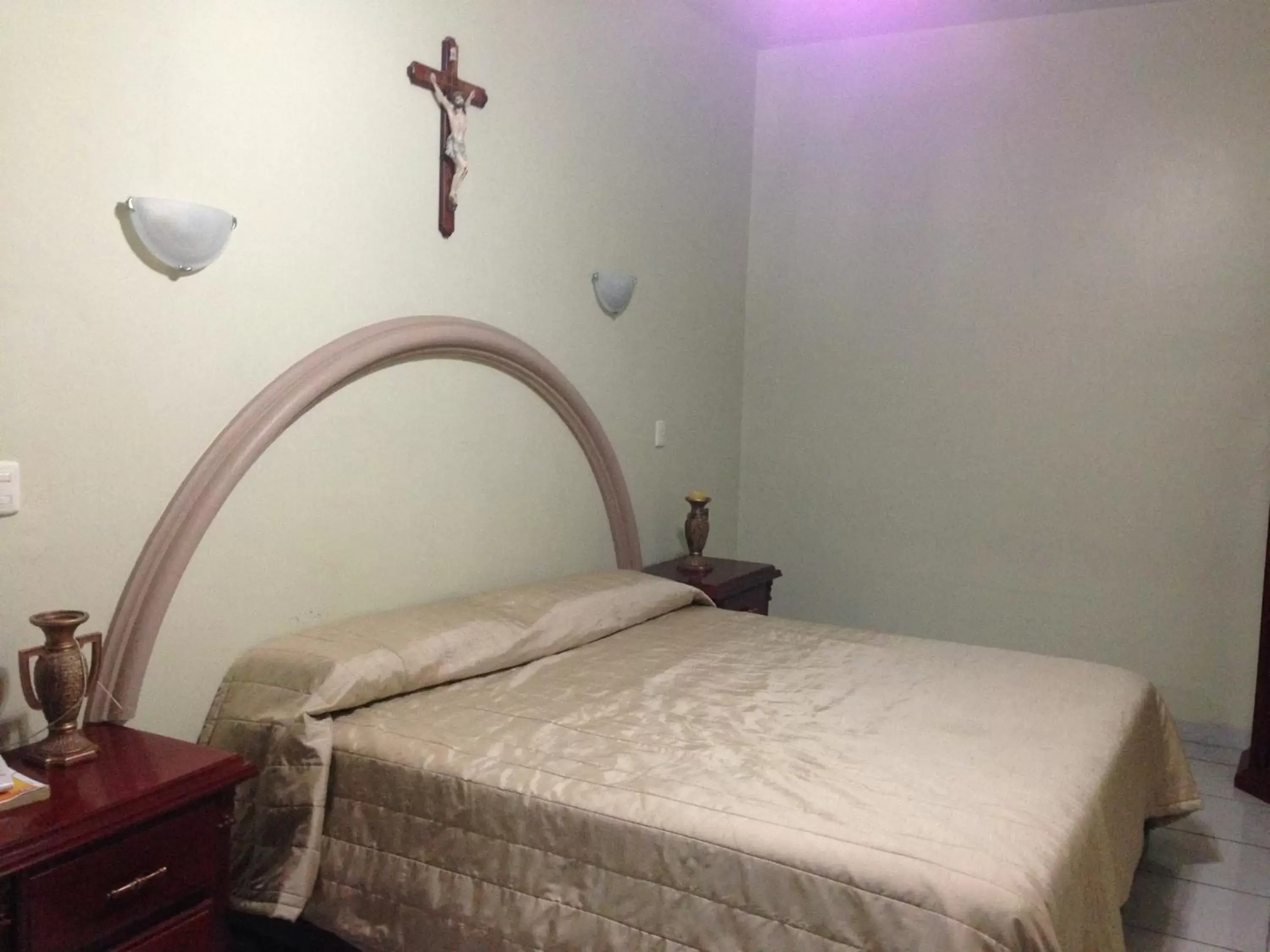 Double Room in Hotel Plaza Sahuayo Double Room in Hotel Plaza Sahuayo