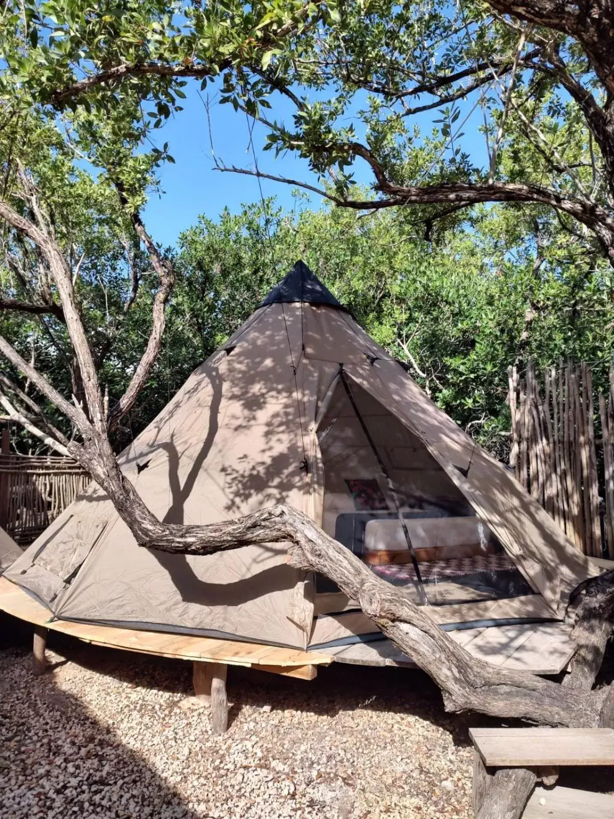 Tent in Co.Bañitas Tent in Co.Bañitas