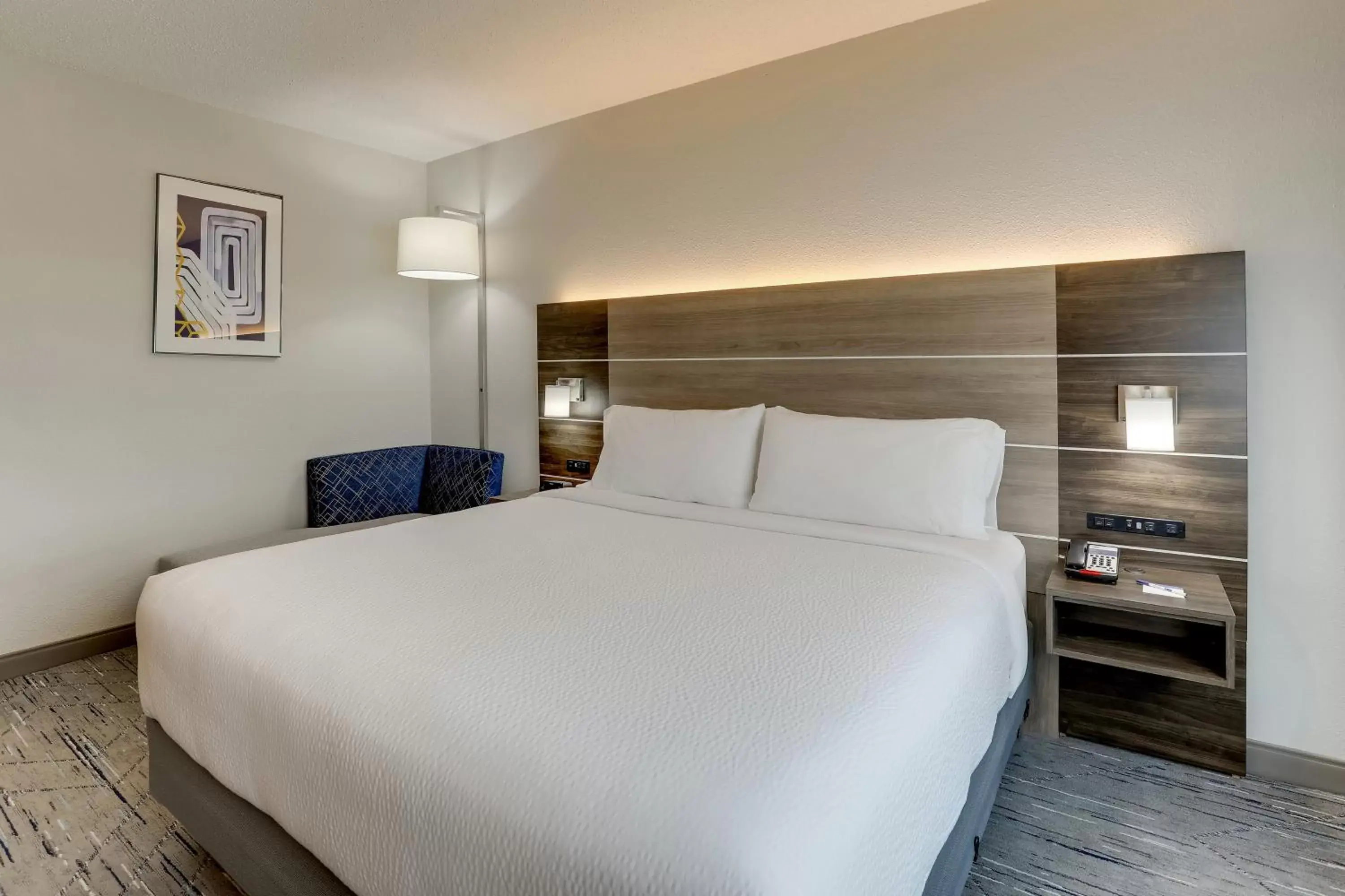 King Room - Mobility Access Tub - Non-Smoking in Holiday Inn Express Kenner - New Orleans Airport, an IHG Hotel King Room - Mobility Access Tub - Non-Smoking in Holiday Inn Express Kenner - New Orleans Airport, an IHG Hotel