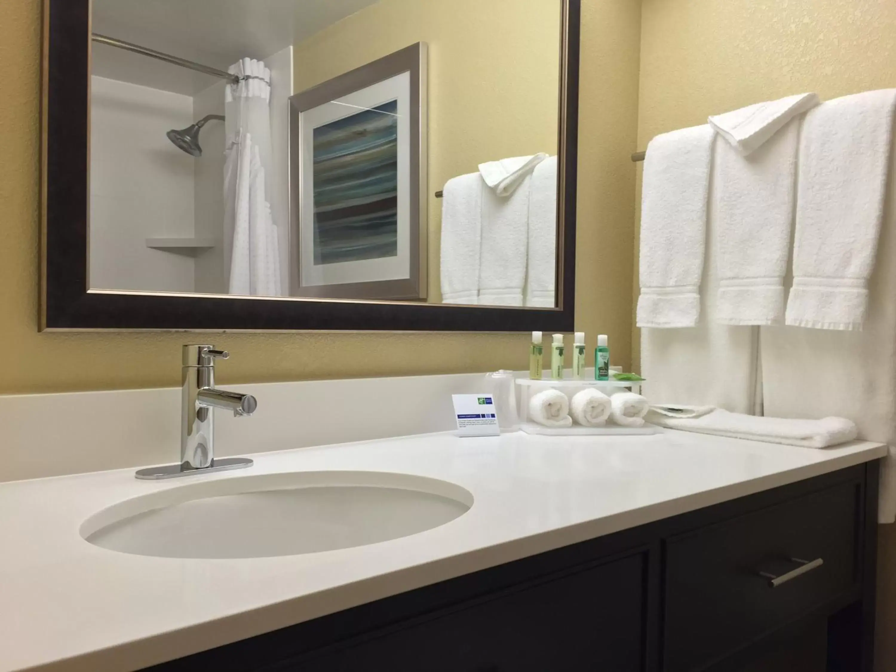 Suite - Hearing Accessible - Non-Smoking in Holiday Inn Express Chicago NW - Arlington Heights by IHG Suite - Hearing Accessible - Non-Smoking in Holiday Inn Express Chicago NW - Arlington Heights by IHG