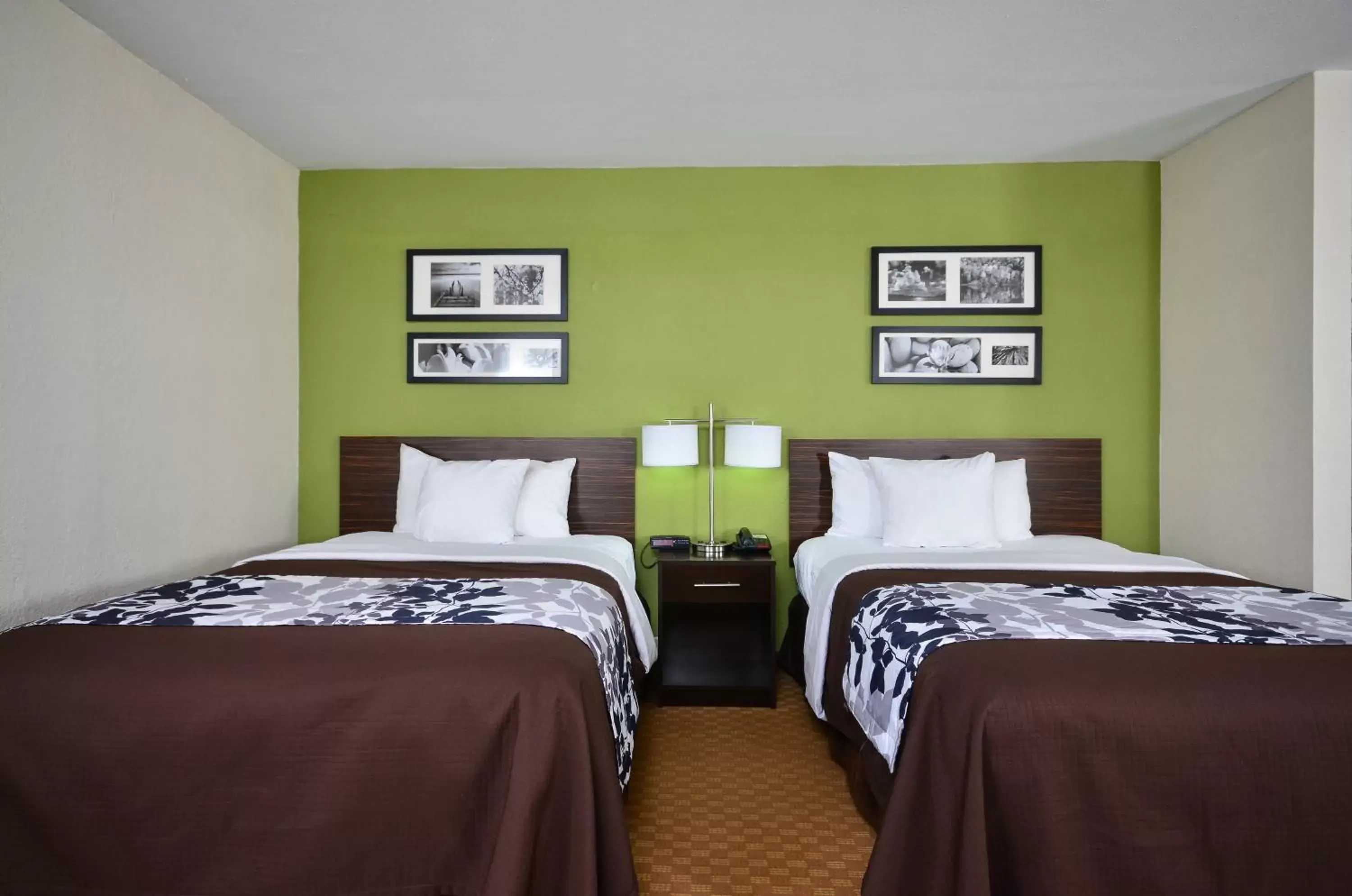 Double Room with Two Double Beds - Non-Smoking in Sleep Inn & Suites Cullman I-65 exit 310 Double Room with Two Double Beds - Non-Smoking in Sleep Inn & Suites Cullman I-65 exit 310