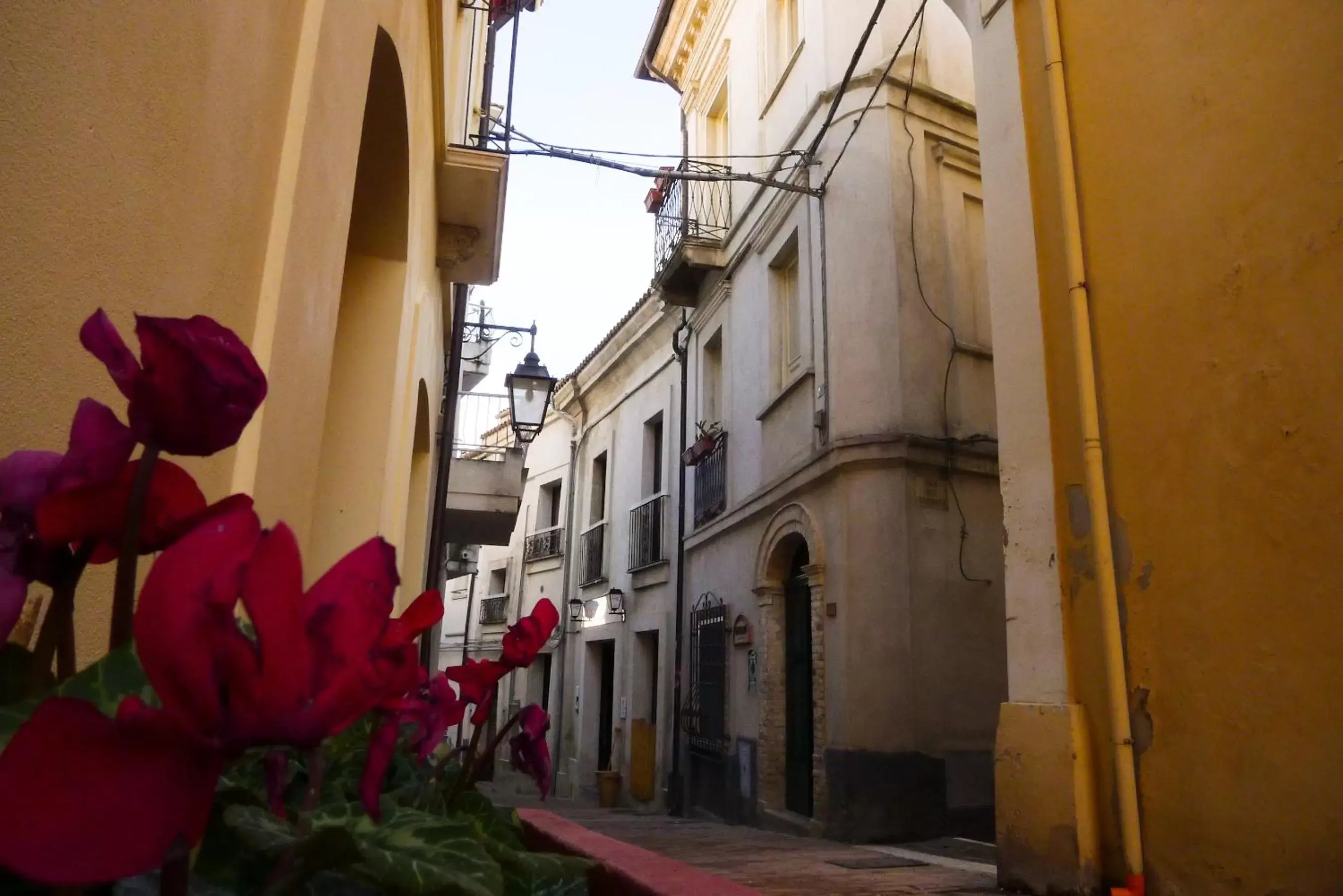 Property building, Neighborhood in B&B Ottocento Property building, Neighborhood in B&B Ottocento