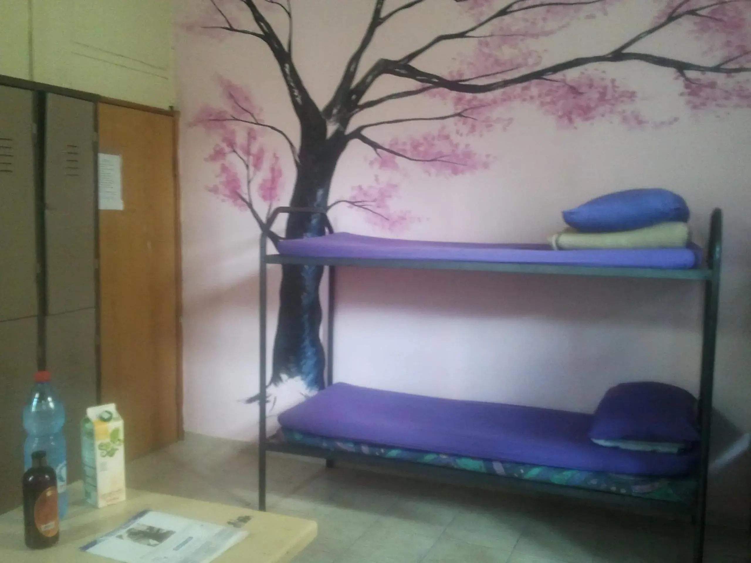 Single Bed in 6 Female Dormitory Room in Momo's Hostel Single Bed in 6 Female Dormitory Room in Momo's Hostel