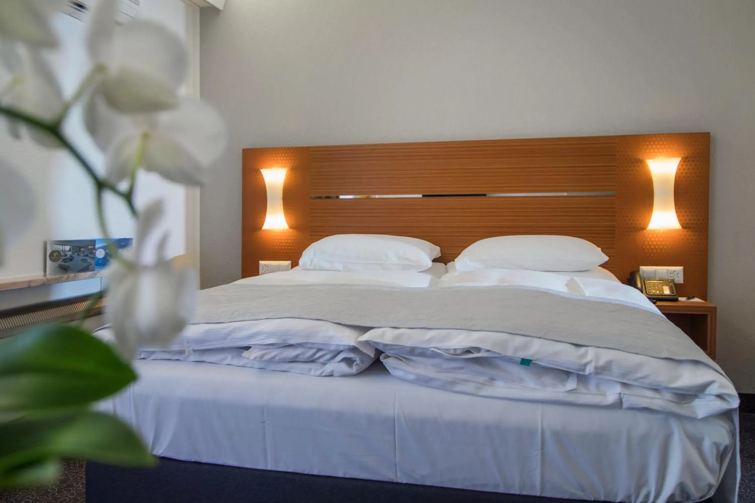 Classic Single Room with Mountain View in Hotel la Palma au Lac Classic Single Room with Mountain View in Hotel la Palma au Lac