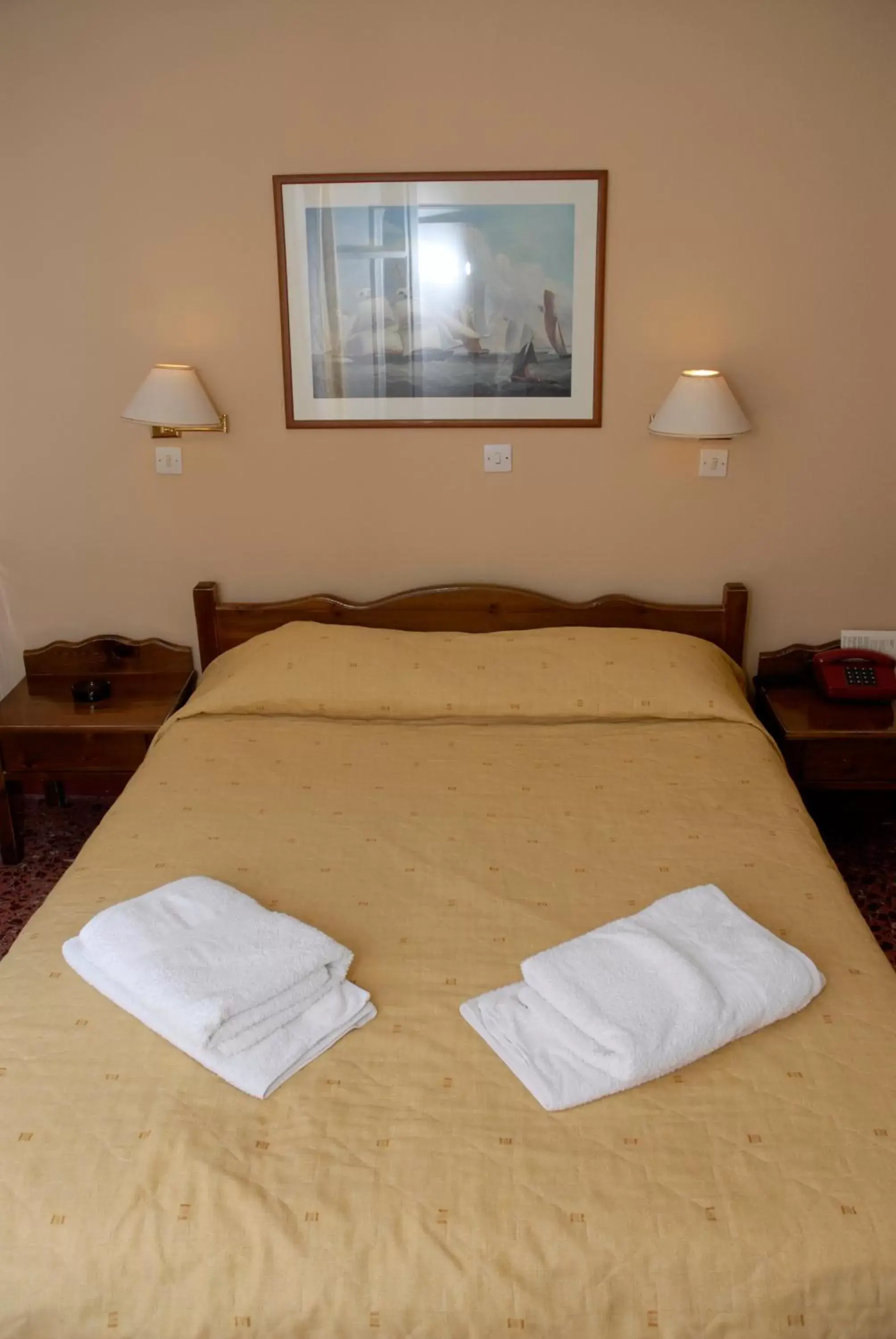 Double or Twin Room in Amaryllis Hotel Double or Twin Room in Amaryllis Hotel