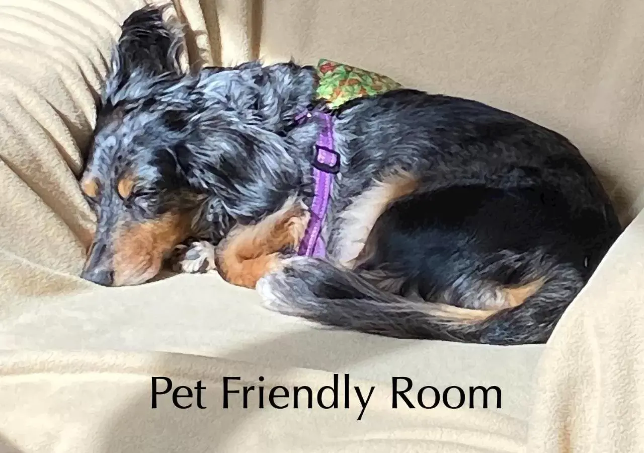 Deluxe Queen Suite in Moonstone Beach Motel Deluxe Queen Suite in Moonstone Beach Motel