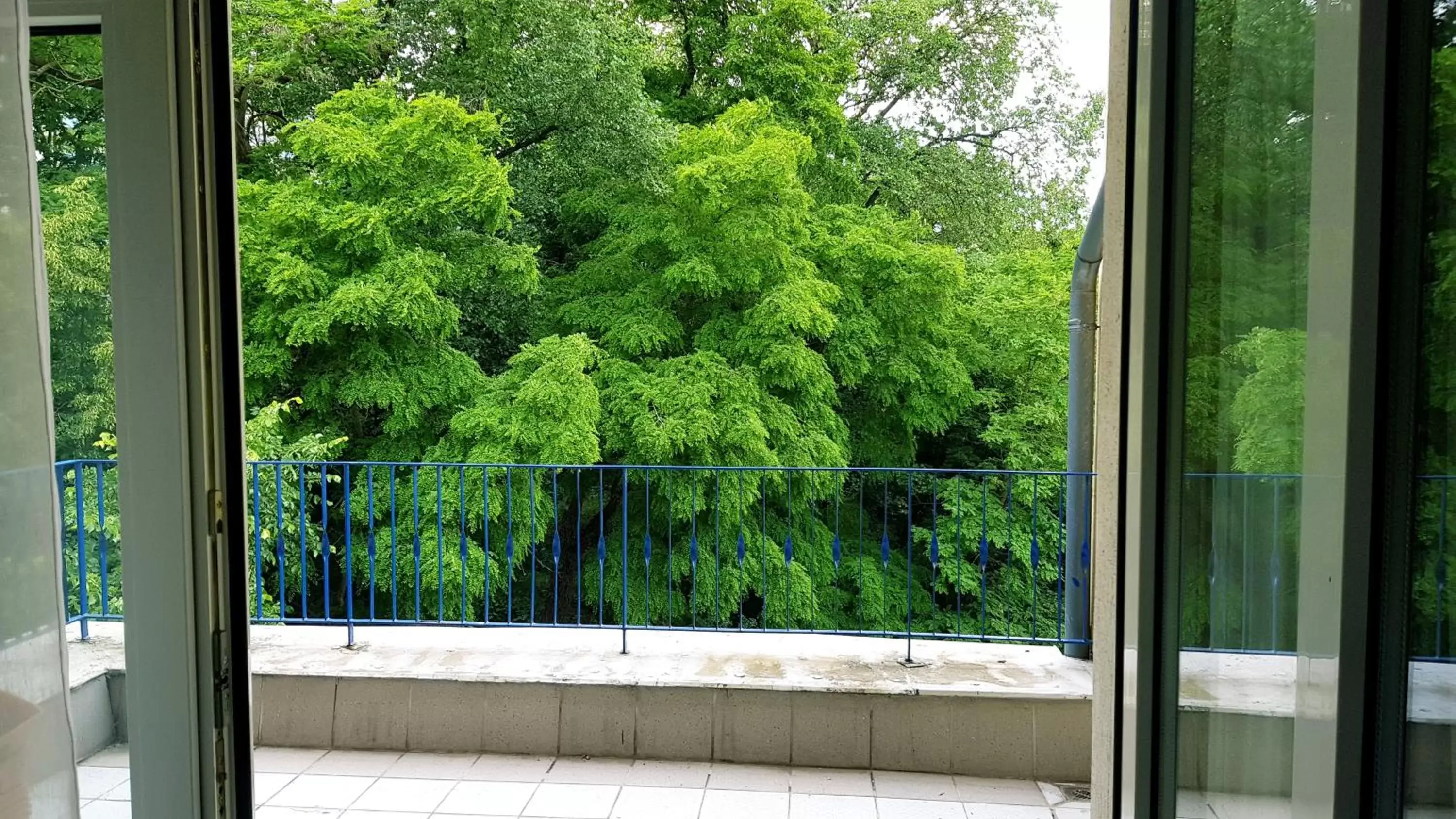 Hotel Altberesinchen Hotel Altberesinchen